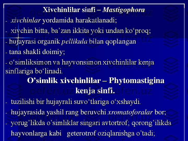 Xivchinlilar	sinfi	–	Mastigophora	
-	xivchinlar	yordamida harakatlanadi	;	
-	xivchin bitta, ba’zan ikkita yoki undan ko‘proq	;	
-	hujayrasi organik 	pellikula	bilan 	q	o	plangan	
-	tana shakli doimiy	;	
-	o‘simliksimon va hayvonsimon xivchinlilar kenja 	
sinflariga bo‘linadi.	
O’simlik xivchinlilar 	–	Phytomastigina	
kenja sinfi.	
-	tuzilishi bir hujayrali suvo‘tlariga o‘xshaydi.	
-	h	ujayrasida yashil rang beruvchi 	xromatoforalar	bo	r;	
-	yorug’likda o’simliklar singari avtortrof;	qorong’ilikda	
hayvonlarga	kabi	geterotrof	oziqlanishga o’tadi; 