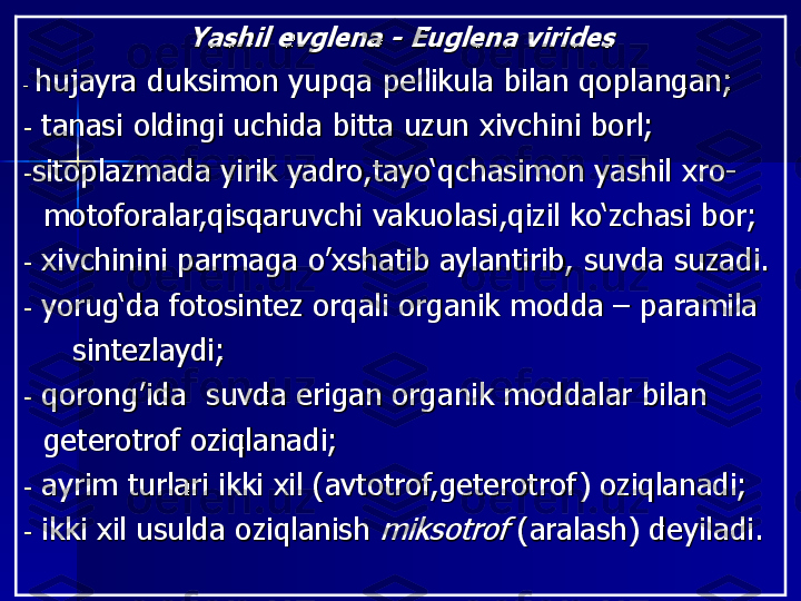 Yashil e	vglena	-	Euglena 	virides	
-	hujayra duk	simon	yupqa pellikula bilan qoplangan	;	
-	tanasi	oldingi uchida	bitta	uzun xivchini	borl	;	
-sitoplazmada yirik yadro,tayo‘qchasimon yashil	xro	-	
mo	toforalar,qisqaruvchi	vakuolasi	,qizil ko‘zchasi 	bor	;	
-	xivchinini 	parmaga	o’xshatib	aylantir	ib	,	suvda	suz	adi	.	
-	yorug‘da fotosintez 	orqali	organik modda	–	paramila	
sintez	lay	di	;	
-	qorong’ida	suvda	erigan	organik moddalar 	bilan	
geterotrof oziqlan	adi	;	
-	ayrim 	turlari	ikki xil 	(	avtotrof,geterotrof	) 	oziqlan	adi	;	
-	ikki xil usulda oziqlanish 	miksotrof	(aralash) deyiladi. 