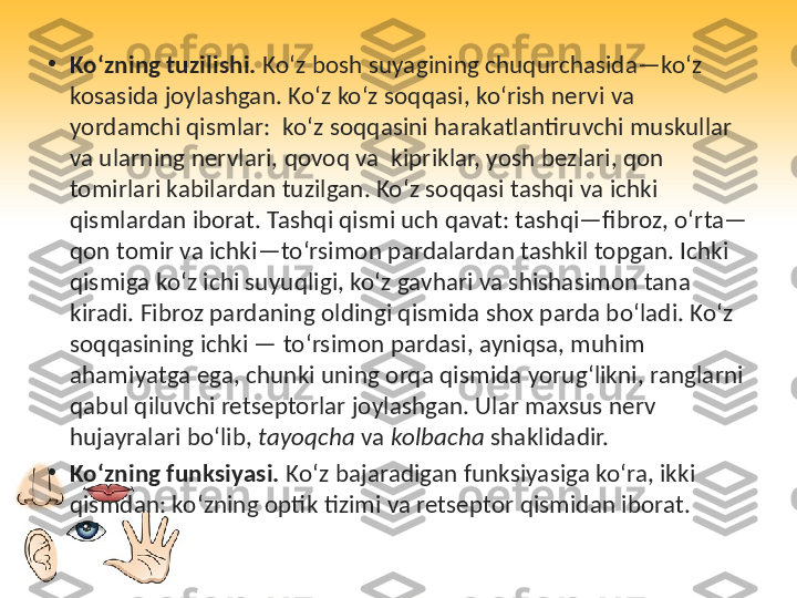 •
Ko‘zning tuzilishi.  Ko‘z bosh suyagining chuqurchasida—ko‘z 
kosasida joylashgan. Ko‘z ko‘z soqqasi, ko‘rish nervi va 
yordamchi qismlar:  ko‘z soqqasini harakatlantiruvchi muskullar 
va ularning nervlari, qovoq va  kipriklar, yosh bezlari, qon 
tomirlari kabilardan tuzilgan. Ko‘z soqqasi tashqi va ichki 
qismlardan iborat. Tashqi qismi uch qavat: tashqi—fibroz, o‘rta—
qon tomir va ichki—to‘rsimon pardalardan tashkil topgan. Ichki 
qismiga ko‘z ichi suyuqligi, ko‘z gavhari va shishasimon tana 
kiradi. Fibroz pardaning oldingi qismida shox parda bo‘ladi. Ko‘z 
soqqasining ichki — to‘rsimon pardasi, ayniqsa, muhim 
ahamiyatga ega, chunki uning orqa qismida yorug‘likni, ranglarni 
qabul qiluvchi retseptorlar joylashgan. Ular maxsus nerv 
hujayralari bo‘lib,  tayoqcha  va  kolbacha  shaklidadir.
•
Ko‘zning funksiyasi.  Ko‘z bajaradigan funksiyasiga ko‘ra, ikki 
qismdan: ko‘zning optik tizimi va retseptor qismidan iborat. 