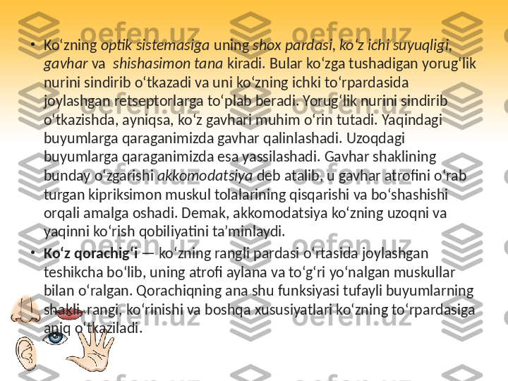 •
Ko‘zning  optik sistemasiga  uning  shox pardasi, ko‘z ichi suyuqligi, 
gavhar  va   shishasimon tana  kiradi. Bular ko‘zga tushadigan yorug‘lik 
nurini sindirib o‘tkazadi va uni ko‘zning ichki to‘rpardasida 
joylashgan retseptorlarga to‘plab beradi. Yorug‘lik nurini sindirib 
o‘tkazishda, ayniqsa, ko‘z gavhari muhim o‘rin tutadi. Yaqindagi 
buyumlarga qaraganimizda gavhar qalinlashadi. Uzoqdagi 
buyumlarga qaraganimizda esa yassilashadi. Gavhar shaklining 
bunday o‘zgarishi  akkomodatsiya  deb atalib, u gavhar atrofini o‘rab 
turgan kipriksimon muskul tolalarining qisqarishi va bo‘shashishi 
orqali amalga oshadi. Demak, akkomodatsiya ko‘zning uzoqni va 
yaqinni ko‘rish qobiliyatini ta’minlaydi.
•
Ko‘z qorachig‘i  — ko‘zning rangli pardasi o‘rtasida joylashgan 
teshikcha bo‘lib, uning atrofi aylana va to‘g‘ri yo‘nalgan muskullar 
bilan o‘ralgan. Qorachiqning ana shu funksiyasi tufayli buyumlarning 
shakli, rangi, ko‘rinishi va boshqa xususiyatlari ko‘zning to‘rpardasiga 
aniq o‘tkaziladi. 