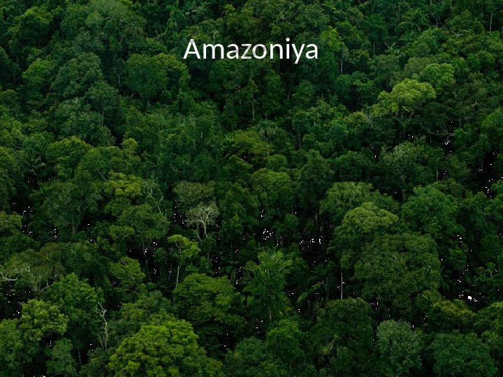 Amazoniya 