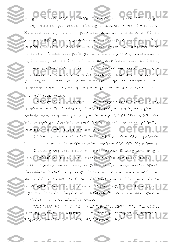 motigadan, mabodo, chigit yoki makkajo‘hori unib chiqib qatorlari bilinib qolgan
bo‘lsa,   rotatsion   yulduzchalar   o‘rnatilgan   kulьtivatorlardan   foydalaniladi.
Ko‘chatlar   atrofidagi   qatqaloqni   yumshatish   uchun   chopiq   qilish   zarur.   YOg‘in
yoqqandan keyin yer obi-tobiga kelishi bilan qatqaloqni yumshatish mumkin. Agar
qatqaloq   qalin   bo‘lsa   va   u   yumshatil-masa   ypyg‘   umuman   unib   chiqmaydi.   Agar
chigit   ekib   bo‘linishn   bilan   yog‘in   yog‘sa,   qatqalokni   yoppasiga   yumshatadigan
engil,   tishining   uzunligi   6-8   sm   bo‘lgan   «zig-zag»   borona   bilan   qatorlarning
ko‘ndalangina   boronalash   mumkin.   Ilg‘or   xo‘jaliklar   tajribasiga   ko‘ra   maysa
chiqmasdan   oldin   qatqaloqni   yumshatish   uchun   boronalashda   unib   chiqqan   bir
yillik   begona   o‘tlarning   75-80%   nobud   bo‘ladi.   CHigit   unib   chiqqan   dalalarda
qatqaloqqa   qarshi   kurashda   uyalar   atrofidagi   tuproqni   yumshatishga   alohida
ahamiyat byerish kyerak.
CHigit   bir   tekis   unib   chiqishi   uchun   tuproqda   namlik   etishmasa   hamda
qatqaloq   qalin   bo‘lsa,   bunday   paykallar   kichik   me’yorda   suv   byerib   sug‘oriladi.
Natijada   qatqaloq   yumshaydi   va   yer   obi   tobiga   kelishi   bilan   sifatli   qilib
kulьtivatsiyalanadi. Agar kulьtivatsiyada ko‘chat tubiga bir oz tuproq uyib ketilsa,
qatkaloqning salbiy ta’siri yana ham kamayadi.
Dalalarda   ko‘chatlar   to‘liq   bo‘lishini   ta’minlash   uchun   ekish   tugallanishi
bilanoq kartalar chetiga, burchaklarga va hatto uyalarga chigit ekib chiqish kyerak.
CHigitni   barvaqt   undirib   olish   mo‘l   xosil   garovidir.   SHuning   uchun   ekilgan
chigitning   h olati   va   unib   chiqishini   muntazam   ravishda   kuzatib   borish   zarur.   Ola
chiqqan   joylariga   tuproq   namligida   yaxshi   ivitilgan   chigit   ekilishi   kyerak.
Tuproqda namlik etishmasligi tufayli chigit unib chiqmagan dalalarga tezlik bilan
qator   oralatib chigit   suvi  byerish,  keyinchalik  tuproq  etilishi   bilan  qator  oralariga
ishlov   byerish   zarur.   Barcha   dalalarda   maysalar   qiyg‘os   undirib   olingandan
keyingina   chigit   ekish   tug‘allangan   hisoblanadi.   Siyrak   unib   chiqqan   uyalarga
chigit ekishni 10-15 kunda tugallash kyerak.
YAgonalash   yo‘li   bilan   har   gek - tar   maydonda   tegishli   miqdorda   ko‘chat
qalinligiga   yerishiladi.   Maysalar   1-2   ta   chinbarg   chiqarganda   yaganalanadi.
YAganalashdan oldin ekin qator oralari kul ь tivatsiya qilinadi. 