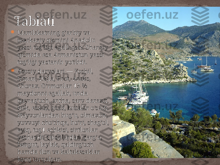 
Mamlakatning g’arbiy va 
markaziy qismini Anadolu 
yassi tog’ligi egallagan. Sharqiy 
qismida esa Armaniston yassi 
tog’ligi yastanib yotibdi.

Asosiy daryolari — Yoshil, 
Irman, Dajla, Frot, Araks, 
Chorax. O’rmonlar 15 % 
maydonni egallab, unda 
qayrag’och, archa, sarv daraxti, 
buk, eman, grab, butalar o’sadi. 
Hayvonlardan bug’u, olmaxon, 
yovvoyi cho’chqa, bo’ri, shag’ol, 
ayiq, tog1 echkisi, sirtlonlar 
yashaydi. Qushlardan qarg’a, 
burgut, laylak, qaldirg’och 
hamda ilon va kaltakesaklar 
keng tarqalgan.Tabiati 