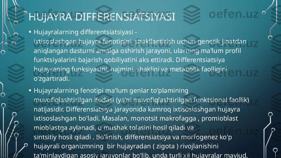 HUJAYRA DIFFERENSIATSIYASI
• Hujayralarning differentsiatsiyasi - 
ixtisoslashgan hujayra fenotipini  shakllantirish uchun genetik jihatdan 
aniqlangan dasturni amalga oshirish jarayoni, ularning ma'lum profil 
funktsiyalarini bajarish qobiliyatini aks ettiradi. Differentsiatsiya 
hujayraning funksiyasini, hajmini, shaklini va metabolik faolligini 
o'zgartiradi.
• Hujayralarning fenotipi ma'lum genlar to'plamining 
muvofiqlashtirilgan ifodasi (ya'ni muvofiqlashtirilgan funktsional faollik) 
natijasidir. Differensiatsiya jarayonida kamroq ixtisoslashgan hujayra 
ixtisoslashgan bo'ladi. Masalan, monotsit makrofagga , promioblast 
mioblastga aylanadi, u mushak tolasini hosil qiladi va 
sintsitiy hosil qiladi . Bo'linish, differensiatsiya va morfogenez ko'p 
hujayrali organizmning  bir hujayradan ( zigota ) rivojlanishini 
ta'minlaydigan asosiy jarayonlar bo'lib, unda turli xil hujayralar mavjud.  