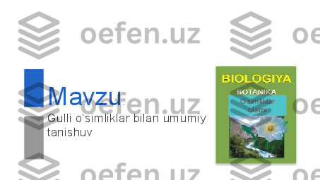 Mavzu :
Gulli o‘simliklar bilan umumiy 
tanishuv
  O`simliklar 
olami  