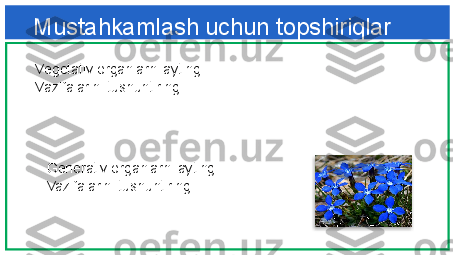 Mustahkamlash uchun topshiriqlar
Generativ organlarni ayting.
Vazifalarini tushuntiringVegetativ organlarni ayting.
Vazifalarini tushuntiring  