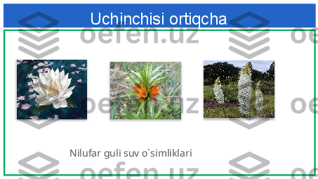 Uchinchisi ortiqcha 
Nilufar guli suv o`simliklari    