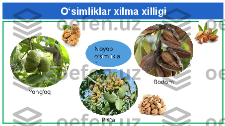 O‘simliklar xilma xilligi
Noyob 
o‘simlikla
r
Yong‘oq Bodom
Pista 