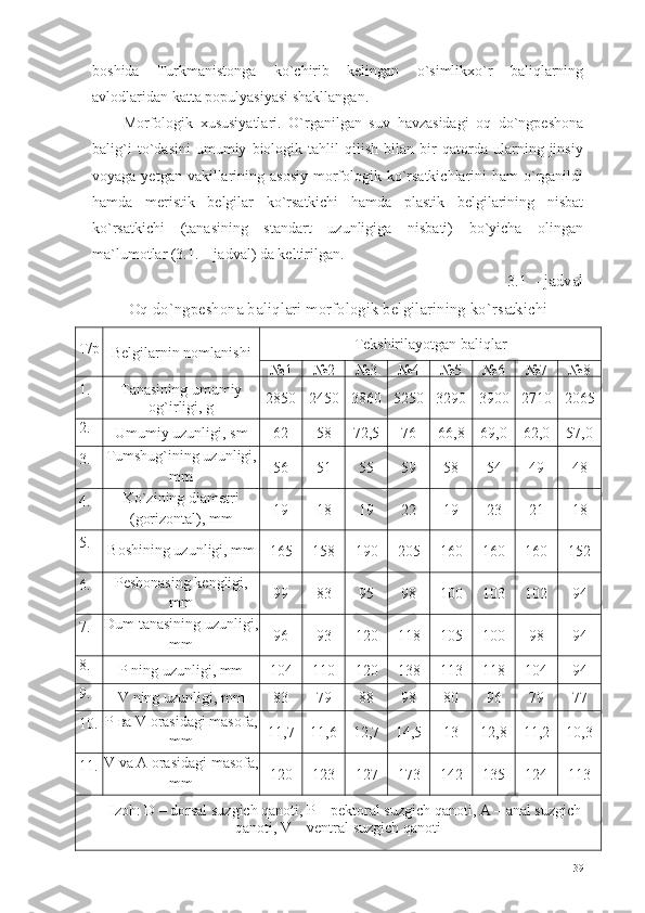 boshida   Turkmanistonga   ko`chirib   kelingan   o`simlikxo`r   baliqlarning
avlodlaridan katta populyasiyasi shakllangan. 
Morfologik   xususiyatlari.   O`rganilgan   suv   havzasidagi   oq   do`ngpeshona
balig`i   to`dasini   umumiy   biologik   tahlil   qilish   bilan   bir   qatorda   ularning   jinsiy
voyaga yetgan vakillarining asosiy  morfologik ko`rsatkichlarini  ham  o`rganildi
hamda   meristik   belgilar   ko`rsatkichi   hamda   plastik   belgilarining   nisbat
ko`rsatkichi   (tanasining   standart   uzunligiga   nisbati)   bo`yicha   olingan
ma`lumotlar (3.1. – jadval) da keltirilgan. 
3.1 -  jadval
Oq  d o` ngpeshona bali q lari morfologik belgilarining k o` rsatkichi
Т/р
Belgilarnin nomlanishi  Tekshirilayotgan baliqlar
№1 №2 №3 №4 №5 №6 №7 №8
1. Tanasining umumiy
og`irligi ,  g 2850 2450 3860 5250 3290 3900 2710 2065
2.
Umumiy uzunligi ,  sm 62 58 72,5 76 66,8 69,0 62,0 57,0
3. Tumshug`ining uzunligi,
mm 56 51 55 59 58 54 49 48
4. Ko`zining diametri
( gorizontal ),  mm 19 18 19 22 19 23 21 18
5.
Boshining uzunligi, mm
165 158 190 205 160 160 160 152
6. Peshonasing kengligi ,
mm 99 83 95 98 100 103 102 94
7. Dum tanasining uzunligi,
mm 96 93 120 118 105 100 98 94
8.
P  ning uzunligi, mm 104 110 120 138 113 118 104 94
9.
V  ning uzunligi, mm 83 79 88 98 80 96 79 77
10. P  ва   V  orasidagi masofa,
mm 11,7 11,6 12,7 14,5 13 12,8 11,2 10,3
11. V  va  A  orasidagi masofa,
mm 120 123 127 173 142 135 124 113
Izoh: D – dorsal suzgich qanoti, P – pektoral suzgich qanoti, A – anal suzgich
qanoti ,   V – ventral suzgich qanoti
39 