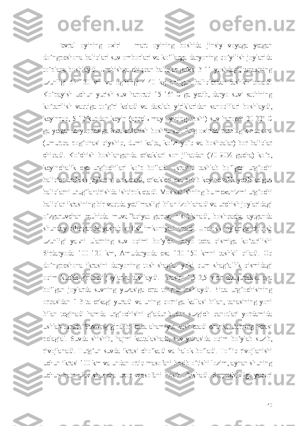 Fevral   oyining   oxiri   –   mart   oyining   boshida   jinsiy   voyaga   yetgan
do ngpeshona baliqlari suv omborlari va ko llarga daryoning qo yilish joylaridaʼ ʼ ʼ
to plana boshlaydi. Urchishga chiqqan baliqlar galasi 3-11 yoshdagi, tanasining
ʼ
uzunligi   61-120   sm   va   og irligi   4-40   kg   bo lgan   baliqlardan   tashkil   topadi.	
ʼ ʼ
Ko payish   uchun   yurish   suv   harorati   15-16º   C   ga   yetib,   daryo   suvi   sathining	
ʼ
ko tarilish   vaqtiga   to g ri   keladi   va   dastlab   yiriklaridan   sanoqlilari   boshlaydi,
ʼ ʼ ʼ
keyinroq, 5-10 kundan keyin (aprelь-may oyining boshi) suv harorati 20-22º C
ga yetganda yoppasiga harakatlanish boshlanadi. Eng oxirida patologik nuqsoni
(umurtqa   pog onasi   qiyshiq,   dumi   kalta,   ko zi   yo q   va   boshqalar)   bor   baliqlar	
ʼ ʼ ʼ
chiqadi.   Ko chish   boshlanganda   erkaklari   son   jihatdan   (70-90%   gacha)   ko p,
ʼ ʼ
keyinchalik   esa   urg ochilari   ko p   bo ladi.   Ikrasini   tashlab   bo lgan   urg ochi	
ʼ ʼ ʼ ʼ ʼ
baliqlar urchish joylarini tark etadi, erkaklari esa qolib keyinchalik yetib kelgan
baliqlarni urug lantirishda ishtirok etadi. Moslashishning bu mexanizmi urg ochi	
ʼ ʼ
baliqlar ikrasining bir vaqtda yetilmasligi bilan izohlanadi va urchish joylaridagi
o zgaruvchan   muhitda   muvaffaqiyat   garovi   hisoblanadi,   boshqacha   aytganda	
ʼ
shunday   qilinganda   yashab   qolish   imkoniyati   ortadi.   Urchish   joylariga   chiqish
uzunligi   yaьni   ularning   suv   oqimi   bo ylab   daryo   tepa   qismiga   ko tarilishi	
ʼ ʼ
Sirdaryoda   100-120   km,   Аmudaryoda   esa   120-150   kmni   tashkil   qiladi.   Oq
do ngpeshona   ikrasini   daryoning   tosh-shag al   yoki   qum   shag allik   qismidagi	
ʼ ʼ ʼ
oqim   kuchli   girdobli   joylarga   tashlaydi.   Ikrasini   1,5-2,5   metr   chuqurlikka   ega
bo lgan   joylarda   suvning   yuzasiga   erta   tongda   tashlaydi.   Bitta   urg ochisining
ʼ ʼ
orqasidan   1-3   ta   erkagi   yuradi   va   uning   qorniga   kallasi   bilan,   tanasining   yoni
bilan   teginadi   hamda   urg ochisini   g adur-budur   suzgich   qanotlari   yordamida	
ʼ ʼ
ushlab turadi. Suvning girdobi katta ahamiyat kasb etadi chunki ularning ikrasi
pelagial.   Suvda   shishib,   hajmi   kattalashadi,   suv   yuzasida   oqim   bo ylab   suzib,	
ʼ
rivojlanadi.  Turg un suvda  ikrasi   cho kadi  va  halok bo ladi. To liq  rivojlanishi	
ʼ ʼ ʼ ʼ
uchun ikrasi 100 km va undan ortiq masofani bosib o tishi lozim, aynan shuning	
ʼ
uchun   ham   ular   shuncha   uzoq   masofani   bosib   o tishadi.   Serpushtliligi   yuqori	
ʼ
40 