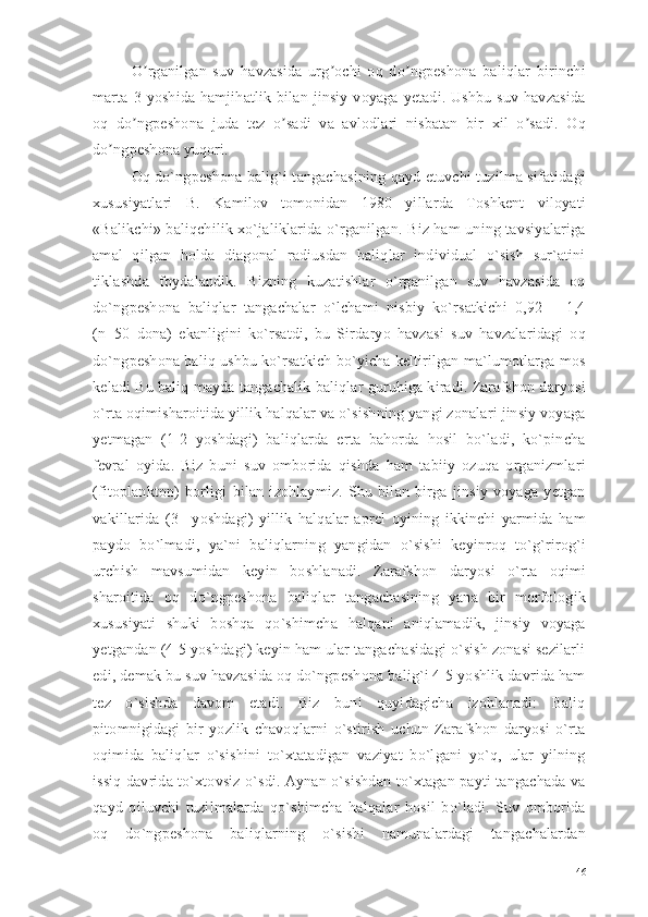 O rganilgan   suv   havzasida   urg ochi   oq   do ngpeshona   baliqlar   birinchiʼ ʼ ʼ
marta   3-yoshida   hamjihatlik  bilan   jinsiy   voyaga   yetadi.   Ushbu   suv   havzasida
oq   do ngpeshona   juda   tez   o sadi   va   avlodlari   nisbatan   bir   xil   o sadi.   Oq
ʼ ʼ ʼ
do ngpeshona yuqori. 	
ʼ
Oq do`ngpeshona balig`i tangachasining qayd etuvchi tuzilma sifatidagi
xususiyatlari   B.   Kamilov   tomonidan   1980   yillarda   Toshkent   viloyati
«Balikchi» baliqchilik xo`jaliklarida o`rganilgan. Biz ham uning tavsiyalariga
amal   qilgan   holda   diagonal   radiusdan   baliqlar   individual   o`sish   sur`atini
tiklashda   foydalandik.   Bizning   kuzatishlar   o`rganilgan   suv   havzasida   oq
do`ngpeshona   baliqlar   tangachalar   o`lchami   nisbiy   ko`rsatkichi   0,92   –   1,4
(n=50   dona)   ekanligini   ko`rsatdi,   bu   Sirdaryo   havzasi   suv   havzalaridagi   oq
do`ngpeshona baliq ushbu ko`rsatkich bo`yicha keltirilgan ma`lumotlarga mos
keladi Bu baliq mayda tangachalik baliqlar guruhiga kiradi. Zarafshon daryosi
o`rta oqimisharoitida yillik halqalar va o`sishning yangi zonalari jinsiy voyaga
yetmagan   (1-2   yoshdagi)   baliqlarda   erta   bahorda   hosil   bo`ladi,   ko`pincha
fevral   oyida.   Biz   buni   suv   omborida   qishda   ham   tabiiy   ozuqa   organizmlari
(fitoplankton)   borligi   bilan   izohlaymiz.   Shu   bilan   birga   jinsiy   voyaga   yetgan
vakillarida   (3   –yoshdagi)   yillik   halqalar   aprel   oyining   ikkinchi   yarmida   ham
paydo   bo`lmadi,   ya`ni   baliqlarning   yangidan   o`sishi   keyinroq   to`g`rirog`i
urchish   mavsumidan   keyin   boshlanadi.   Zarafshon   daryosi   o`rta   oqimi
sharoitida   oq   do`ngpeshona   baliqlar   tangachasining   yana   bir   morfologik
xususiyati   shuki   boshqa   qo`shimcha   halqani   aniqlamadik,   jinsiy   voyaga
yetgandan (4-5 yoshdagi) keyin ham ular tangachasidagi o`sish zonasi sezilarli
edi, demak bu suv havzasida oq do`ngpeshona balig`i 4-5 yoshlik davrida ham
tez   o`sishda   davom   etadi.   Biz   buni   quyidagicha   izohlanadi:   Baliq
pitomnigidagi   bir   yozlik   chavoqlarni   o`stirish   uchun   Zarafshon   daryosi   o`rta
oqimida   baliqlar   o`sishini   to`xtatadigan   vaziyat   bo`lgani   yo`q,   ular   yilning
issiq davrida to`xtovsiz o`sdi. Aynan o`sishdan to`xtagan payti tangachada va
qayd   qiluvchi   tuzilmalarda   qo`shimcha   halqalar   hosil   bo`ladi.   Suv   omborida
oq   do`ngpeshona   baliqlarning   o`sishi   namunalardagi   tangachalardan
46 