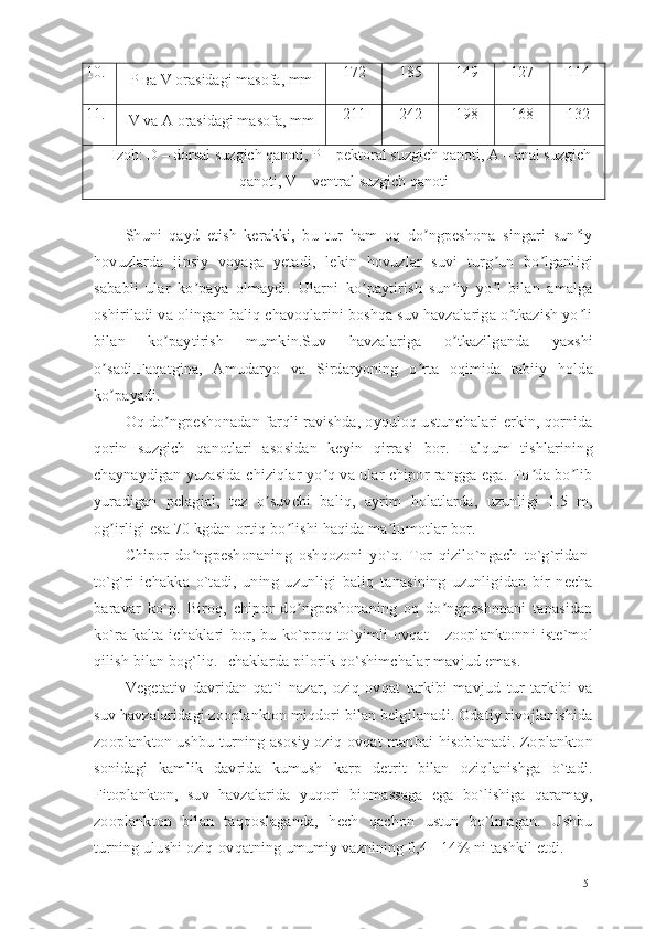 10.
P  ва   V  orasidagi masofa, mm 172  185  149  127  114 
11.
V  va  A  orasidagi masofa, mm 211  242  198  168  132 
Izoh: D – dorsal suzgich qanoti, P – pektoral suzgich qanoti, A – anal suzgich
qanoti ,   V – ventral suzgich qanoti
Shuni   qayd   etish   kerakki,   bu   tur   ham   oq   do ngpeshona   singari   sun iyʼ ʼ
hovuzlarda   jinsiy   voyaga   yetadi,   lekin   hovuzlar   suvi   turg un   bo lganligi	
ʼ ʼ
sababli   ular   ko paya   olmaydi.   Ularni   ko paytirish   sun iy   yo l   bilan   amalga	
ʼ ʼ ʼ ʼ
oshiriladi va olingan baliq chavoqlarini boshqa suv havzalariga o tkazish yo li	
ʼ ʼ
bilan   ko paytirish   mumkin.Suv   havzalariga   o tkazilganda   yaxshi	
ʼ ʼ
o sadi.Faqatgina,   Аmudaryo   va   Sirdaryoning   o rta   oqimida   tabiiy   holda	
ʼ ʼ
ko payadi.
ʼ
Oq do ngpeshonadan farqli ravishda, oyquloq ustunchalari erkin, qornida	
ʼ
qorin   suzgich   qanotlari   asosidan   keyin   qirrasi   bor.   Halqum   tishlarining
chaynaydigan yuzasida chiziqlar yo q va ular chipor rangga ega. To da bo lib	
ʼ ʼ ʼ
yuradigan   pelagial,   tez   o suvchi   baliq,   ayrim   holatlarda,   uzunligi   1.5   m,	
ʼ
og irligi esa 70 kgdan ortiq bo lishi haqida ma lumotlar bor. 	
ʼ ʼ ʼ
Chipor   do ngpeshonaning   oshqozoni   yo`q.   Tor   qizilo`ngach   to`g`ridan-	
ʼ
to`g`ri   ichakka   o`tadi,   uning   uzunligi   baliq   tanasining   uzunligidan   bir   necha
baravar   ko`p.   Biroq,   chipor   do ngpeshonaning   oq   do ngpeshonani   tanasidan	
ʼ ʼ
ko`ra   kalta   ichaklari   bor,   bu   ko`proq   to`yimli   ovqat   -   zooplanktonni   iste`mol
qilish bilan bog`liq. Ichaklarda pilorik qo`shimchalar mavjud emas.
Vegetativ   davridan   qat`i   nazar,   oziq-ovqat   tarkibi   mavjud   tur   tarkibi   va
suv havzalaridagi zooplankton miqdori bilan belgilanadi. Odatiy rivojlanishida
zooplankton ushbu turning asosiy oziq-ovqat manbai hisoblanadi. Zoplankton
sonidagi   kamlik   davrida   kumush   karp   detrit   bilan   oziqlanishga   o`tadi.
Fitoplankton,   suv   havzalarida   yuqori   biomassaga   ega   bo`lishiga   qaramay,
zooplankton   bilan   taqqoslaganda,   hech   qachon   ustun   bo`lmagan.   Ushbu
turning ulushi oziq-ovqatning umumiy vaznining 0,4 - 14% ni tashkil etdi.
51 