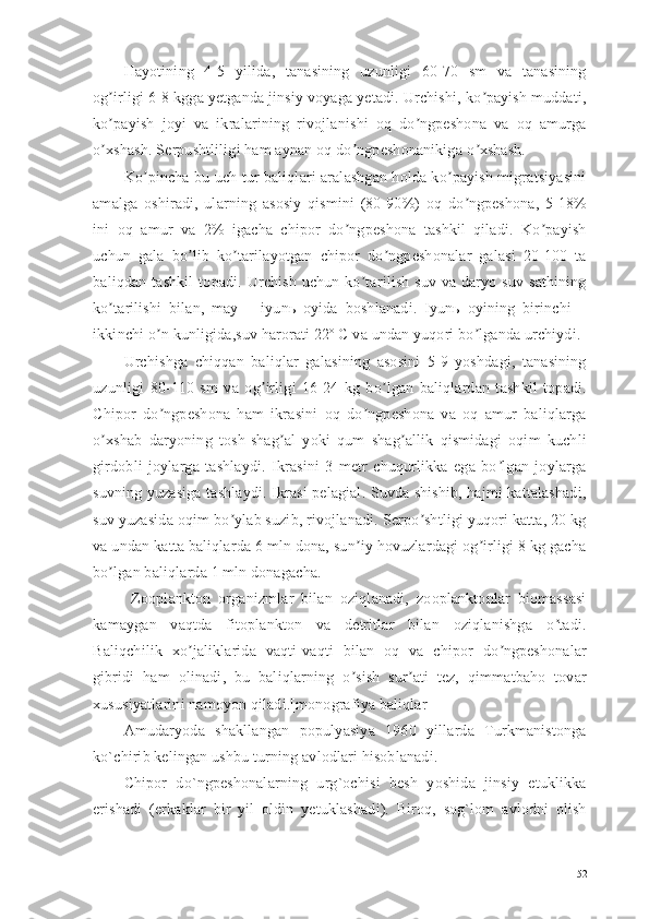 Hayotining   4-5   yilida,   tanasining   uzunligi   60-70   sm   va   tanasining
og irligi 6-8 kgga yetganda jinsiy voyaga yetadi. Urchishi, ko payish muddati,ʼ ʼ
ko payish   joyi   va   ikralarining   rivojlanishi   oq   do ngpeshona   va   oq   amurga
ʼ ʼ
o xshash. Serpushtliligi ham aynan oq do ngpeshonanikiga o xshash.
ʼ ʼ ʼ
Ko pincha bu uch tur baliqlari aralashgan holda ko payish migratsiyasini	
ʼ ʼ
amalga   oshiradi,   ularning   asosiy   qismini   (80-90%)   oq   do ngpeshona,   5-18%	
ʼ
ini   oq   amur   va   2%   igacha   chipor   do ngpeshona   tashkil   qiladi.   Ko payish	
ʼ ʼ
uchun   gala   bo lib   ko tarilayotgan   chipor   do ngpeshonalar   galasi   20-100   ta	
ʼ ʼ ʼ
baliqdan  tashkil   topadi. Urchish  uchun  ko tarilish  suv  va  daryo suv  sathining	
ʼ
ko tarilishi   bilan,   may   –   iyunь   oyida   boshlanadi.   Iyunь   oyining   birinchi   –	
ʼ
ikkinchi o n kunligida,suv harorati 22º C va undan yuqori bo lganda urchiydi.	
ʼ ʼ
Urchishga   chiqqan   baliqlar   galasining   asosini   5-9   yoshdagi,   tanasining
uzunligi   80-110   sm   va   og irligi   16-24   kg   bo lgan   baliqlardan   tashkil   topadi.	
ʼ ʼ
Chipor   do ngpeshona   ham   ikrasini   oq   do ngpeshona   va   oq   amur   baliqlarga	
ʼ ʼ
o xshab   daryoning   tosh-shag al   yoki   qum   shag allik   qismidagi   oqim   kuchli	
ʼ ʼ ʼ
girdobli   joylarga   tashlaydi.   Ikrasini   3   metr   chuqurlikka   ega   bo lgan   joylarga	
ʼ
suvning yuzasiga tashlaydi. Ikrasi pelagial. Suvda shishib, hajmi kattalashadi,
suv yuzasida oqim bo ylab suzib, rivojlanadi. Serpo shtligi yuqori katta, 20 kg	
ʼ ʼ
va undan katta baliqlarda 6 mln dona, sun iy hovuzlardagi og irligi 8 kg gacha	
ʼ ʼ
bo lgan baliqlarda 1 mln donagacha.	
ʼ
  Zooplankton   organizmlar   bilan   oziqlanadi,   zooplanktonlar   biomassasi
kamaygan   vaqtda   fitoplankton   va   detritlar   bilan   oziqlanishga   o tadi.	
ʼ
Baliqchilik   xo jaliklarida   vaqti-vaqti   bilan   oq   va   chipor   do ngpeshonalar	
ʼ ʼ
gibridi   ham   olinadi,   bu   baliqlarning   o sish   sur ati   tez,   qimmatbaho   tovar	
ʼ ʼ
xususiyatlarini namoyon qiladi.[monografiya baliqlar]
Amudaryoda   shakllangan   populyasiya   1960   yillarda   Turkmanistonga
ko`chirib kelingan ushbu turning avlodlari hisoblanadi. 
Chipor   do`ngpeshonalarning   urg`ochisi   besh   yoshida   jinsiy   etuklikka
erishadi   (erkaklar   bir   yil   oldin   yetuklashadi).   Biroq,   sog`lom   avlodni   olish
52 