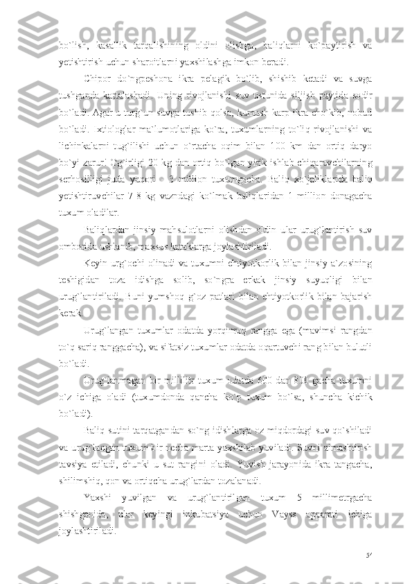 bo`lish,   kasallik   tarqalishining   oldini   olishga,   baliqlarni   ko`paytirish   va
yetishtirish uchun sharoitlarni yaxshilashga imkon beradi.
Chipor   do`ngpeshona   ikra   pelagik   bo`lib,   shishib   ketadi   va   suvga
tushganda   kattalashadi.   Uning   rivojlanishi   suv   ustunida   siljish   paytida   sodir
bo`ladi. Agar  u turg`un suvga  tushib  qolsa,  kumush  karp ikra cho`kib, nobud
bo`ladi.   Ixtiologlar   ma`lumotlariga   ko`ra,   tuxumlarning   to`liq   rivojlanishi   va
lichinkalarni   tug`ilishi   uchun   o`rtacha   oqim   bilan   100   km   dan   ortiq   daryo
bo`yi  zarur!   Og`irligi   20  kg  dan  ortiq  bo`lgan  yirik  ishlab  chiqaruvchilarning
serhosilligi   juda   yuqori   -   3   million   tuxumgacha.   Baliq   xo`jaliklarida   baliq
yetishtiruvchilar   7-8   kg   vazndagi   ko`lmak   baliqlaridan   1   million   donagacha
tuxum oladilar. 
Baliqlardan   jinsiy   mahsulotlarni   olishdan   oldin   ular   urug`lantirish   suv
omborida ushlanib, maxsus kataklarga joylashtiriladi.
Keyin urg`ochi   olinadi  va tuxumni   ehtiyotkorlik bilan  jinsiy  a`zosining
teshigidan   toza   idishga   solib,   so`ngra   erkak   jinsiy   suyuqligi   bilan
urug`lantiriladi.   Buni   yumshoq   g`oz   patlari   bilan   ehtiyotkorlik   bilan   bajarish
kerak.
Urug`langan   tuxumlar   odatda   yorqinroq   rangga   ega   (mavimsi   rangdan
to`q sariq ranggacha), va sifatsiz tuxumlar odatda oqartuvchi rang bilan bulutli
bo`ladi.
Urug`lanmagan   bir   millilitr   tuxum   odatda   600   dan   800   gacha   tuxumni
o`z   ichiga   oladi   (tuxumdonda   qancha   ko`p   tuxum   bo`lsa,   shuncha   kichik
bo`ladi).
Baliq sutini tarqatgandan so`ng idishlarga oz miqdordagi suv qo`shiladi
va urug`langan tuxum  bir  necha  marta yaxshilab  yuviladi. Suvni  almashtirish
tavsiya   etiladi,   chunki   u   sut   rangini   oladi.   Yuvish   jarayonida   ikra   tangacha,
shilimshiq, qon va ortiqcha urug`lardan tozalanadi.
Yaxshi   yuvilgan   va   urug`lantirilgan   tuxum   5   millimetrgacha
shishganida,   ular   keyingi   inkubatsiya   uchun   Vayss   apparati   ichiga
joylashtiriladi.
54 