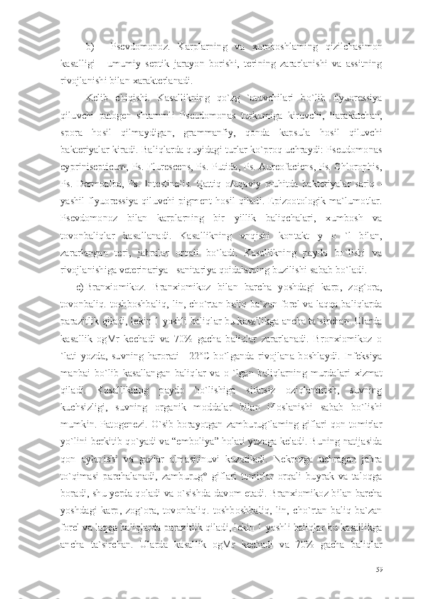 b) Psevdomonoz.   Karplarning   va   xumboshlaming   qizilchasimon
kasalligi   -   umumiy   septik   jarayon   borishi,   terining   zararlanishi   va   assitning
rivojlanishi bilan xarakterlanadi. 
Kelib   chiqishi.   Kasallikning   qo`zg   `atuvchilari   bo`lib   flyuoressiya
qiluvchi   patogen   shtammli   Pseudomonas   turkumiga   kiruvchi,   liarakatchan,
spora   hosil   qilmaydigan,   grammanfiy,   qonda   kapsula   hosil   qiluvchi
bakteriyalar kiradi. Baliqlarda quyidagi turlar ko`proq uchraydi: Pseudomonas
cyprinisepticum, Ps. Flurescens, Ps. Putida, Ps. Aureofaciens, Ps. Chlorophis,
Ps.   Dermoalba,   Ps.   Intestinalis.   Qattiq   o/uqaviy   muhitda   bakteriyalar   sariq   -
yashil   flyuoressiya   qiluvchi   pigment   hosil   qiladi.   Epizootologik   ma`lumotlar.
Psevdomonoz   bilan   karplarning   bir   yillik   baliqchalari,   xumbosh   va
tovonbaliqlar   kasallanadi.   Kasallikning   vnqishi   kontakt   y   o   `l   bilan,
zararlangan   teri,   jabralar   orqali   bo`ladi.   Kasallikning   paydo   bo`lishi   va
rivojlanishiga veterinariya - sanitariya qoidalaming buzilishi sabab bo`ladi.
c) Branxiomikoz.   Branxiomikoz   bilan   barcha   yoshdagi   karp,   zog`ora,
tovonbaliq. toshboshbaliq, lin, cho`rtan baliq ba`zan forel  va laqqa baliqlarda
parazitlik qiladi, lekin 1 yoshli baliqlar bu kasallikga ancha ta`sirchan. Ularda
kasallik   ogMr   kechadi   va   70%   gacha   baliqlar   zararlanadi.   Bronxiomikoz   o
`lati   yozda,   suvning   harorati   +22°C   bo`lganda   rivojlana   boshlaydi.   Infeksiya
manbai   bo`lib   kasallangan   baliqlar   va   o   `lgan   baliqlarning   murdalari   xizmat
qiladi.   Kasallikning   paydo   bo`lishiga   sifatsiz   oziqlantirish,   suvning
kuchsizligi,   suvning   organik   moddalar   bilan   ifloslanishi   sabab   bo`lishi
mumkin.   Patogenezi.   O`sib   borayotgan   zamburug`laming   giflari   qon   tomirlar
yo`lini berkitib qo`yadi va “emboliya” holati yuzaga keladi. Buning natijasida
qon   aylanishi   va   gazlar   almashinuvi   kuzatiladi.   Nekrozga   uchragan   jabra
to`qimasi   parchalanadi,   zamburug*   giflari   tomirlar   orqali   buyrak   va   taloqga
boradi, shu yerda qoladi va o`sishda davom etadi. Branxiomikoz bilan barcha
yoshdagi   karp,   zog`ora,   tovonbaliq.   toshboshbaliq,   lin,   cho`rtan   baliq   ba`zan
forel va laqqa baliqlarda parazitlik qiladi, lekin 1 yoshli baliqlar bu kasallikga
ancha   ta`sirchan.   Ularda   kasallik   ogMr   kechadi   va   70%   gacha   baliqlar
59 