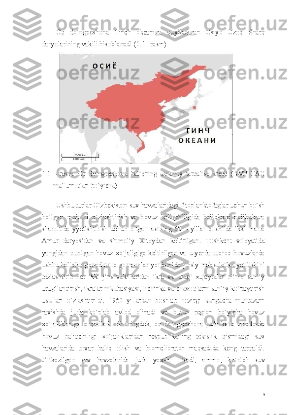 Oq   do`ngpeshona   Tinch   okeaniga   quyiladigan   Osiyo   Uzoq   Sharq
daryolarining vakili hisoblanadi (1.1 –rasm).
1.1 –   rasm.   Oq   do`ngpeshona   baliqning   umumiy   tarqalish   areali   (BMT   FAO
ma`lumotlari bo`yicha) 
Ushbu turlar O`zbekiston suv havzalaridagi fitoplanktofaglar uchun bo`sh
bo`lgan   muhitni   o`zlashtirish   va   hovuz   baliqchiligida   baliqlarni   polikultura
sharoitida   yyetishtirish   uchun   o`tgan   asrning   60   –   yillar   boshiida   ikki   marta
Amur   daryosidan   va   shimoliy   Xitoydan   keltirilgan.   Toshkent   viloyatida
yangidan  qurilgan  hovuz xo`jaligiga keltirilgan va  u yerda tuproq  hovuzlarda
ushbu baliqlar gonadotrop gormonlar yordamida jinsiy mahsulotlar yetilishini
tezlashtirib   har   ikki   jins   vakillaridan   ikra   va   urug`   xujayralar   olinib   sun`iy
urug`lantirish, ikralar inkubasiyasi, lichinka va chavoqlarni sun`iy ko`paytirish
usullari   o`zlashtirildi.   1960   yillardan   boshlab   hozirgi   kungacha   muntazam
ravishda   juda   ko`plab   avlod   olinadi   va   butun   region   bo`yicha   hovuz
xo`jaliklariga   tarqatiladi.   Shuningdek,   oq   do`ngpeshona   juda   katta   miqdorda
hovuz   baliqchiligi   xo`jaliklaridan   respublikaning   tekislik   qismidagi   suv
havzalarida   tovar   baliq   olish   va   biomeliorator   maqsadida   keng   tarqaldi.
O`tkazilgan   suv   havzalarida   juda   yaxshi   o`sadi,   ammo,   ko`plab   suv
9 