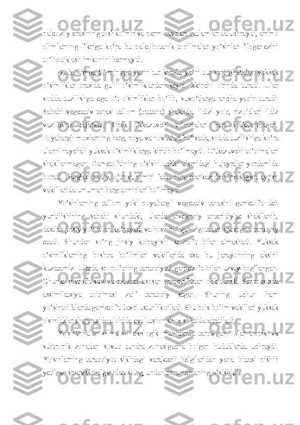 paleozoy erasining toshko’mir va perm davrlari qatlamlarida uchraydi, ammo
olimlarning   fikriga   ko’ra   bu   paleobotanik   topilmalar   yo’sinlar   filogenezini
to’liq tiklash imkonini bermaydi.
Bu bo ’ limga 50 mingga yaqin tur kiradi, ya ’ ni tur soni jihatidan   yuksak
o ’ simliklar   orasida   gulli   o ’ simliklardan   keyin   ikkinchi   o'rinda   turadi.   Ular
sodda   tuzilishga   ega   o’t   o'simliklar   bo’lib,   suvo’tlarga   ancha   yaqin   turadi.
Sababi   vegetativ   tanasi   tallom   (qattana)   shaklida,   ildizi   yo'q,   rizoidlari   ildiz
vazifasini   bajaradi.   Tipik   o’tkazuvchi   to’qimalari   ham   shakllanmagan.
Poyabargli moxlarning barg, poya va  novdalari bo’lsada, sodda tuzilishiga ko’ra
ularni naychali yuksak o’simliklarga kiritib bo’lmaydi. O’tkazuvchi to’qimalari
shakllanmagan.   Gametofitining   o’sishi   uchki   qismidagi   hujayralar   yordamida
boradi.  Barglari oddiy, o’troq, tomiri faqat barg markazida o’rnashgan, ayrim
vakillarida umuman barg tomirlari bo’lmaydi.
Yo’sinlarning   tallom   yoki   poyabargli   vegetativ   tanasini   gametofit   deb
yuritilishining   sababi   shundaki,   ularda   arxegoniy   anteridiylar   shakllanib,
dastlab jinsiy yo’l bilan ko’payadi va hosil bo’lgan zigotadan  sporogon taraqqiy
etadi.   Shundan   so’ng   jinsiy   ko'payishi   sporofit   bilan   almashadi.   Yuksak
o’simliklarning   boshqa   bo’limlari   vakillarida   esa   bu   jarayonning   aksini
kuzatamiz.   Ularda sporofitning taraqqiyoti   gametofit bilan uzviy bog’langan.
Chunki sporofit suv va oziqani   asosan gametofitdan   olib   turadi. Sporogonda
assimilatsiya   to'qimasi   zaif   taraqqiy   etgan.   Shuning   uchun   ham
yo’sintoifalarda gametofit davri  ustunlik qiladi. Shu bois bo'lim vakillari  yuk sak
o'simliklar shajarasida  alohida evolutsion shox sifatida ajratiladi.
Yo'sintoifalar   xilma-xil   ekologik   muhitlarda   tarqalgan.   Ular   tropik   va
subtropik   zonadan   sovuq   tundra   zonasigacha   boigan   hududlarda   uchraydi.
Yo'sinlarning   taraqqiyot   siklidagi   xarakterli   belgilaridan   yana   bittasi   pishib
yetilgan spora tarqalganidan so'ng, undan protonemaning  o’sishidir. 