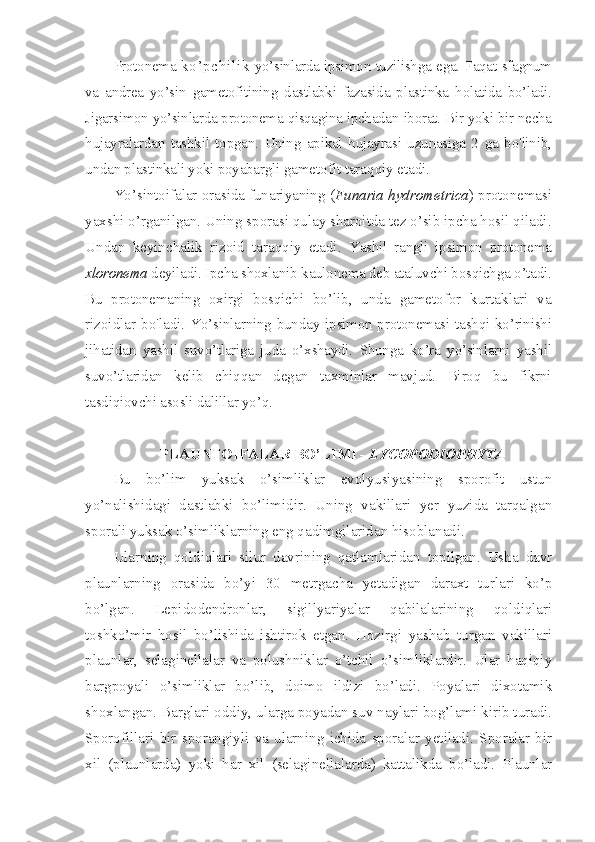 Protonema   ko’pchilik   yo’sinlarda ipsimon tuzilishga ega. Faqat   sfagnum
va   andrea   yo’sin   gametofitining   dastlabki   fazasida   plastinka   holatida   bo’ladi.
Jigarsimon yo’sinlarda protonema qisqagina ipchadan  iborat. Bir yoki bir necha
hujayralardan   tashkil   topgan.   Uning   apikal   hujayrasi   uzunasiga   2   ga   bo'linib,
undan plastinkali yoki poyabargli  gametofit taraqqiy etadi.
Yo’sintoifalar orasida funariyaning ( Funaria hydrometrica ) protonemasi
yaxshi o’rganilgan. Uning sporasi qulay sharoitda tez o’sib ipcha hosil qiladi.
Undan   keyinchalik   rizoid   taraqqiy   etadi.   Yashil   rangli   ipsimon   protonema
xloronema  deyiladi. Ipcha shoxlanib  kaulonema deb ataluvchi bosqichga o’tadi.
Bu   protonemaning   oxirgi   bosqichi   bo’lib,   unda   gametofor   kurtaklari   va
rizoidlar bo'ladi.   Yo’sinlarning bunday ipsimon protonemasi tashqi ko’rinishi
jihatidan   yashil   suvo’tlariga   juda   o’xshaydi.   Shunga   ko’ra   yo’sinlarni   yashil
suv o’tlaridan   kelib   chiqqan   degan   taxminlar   mavjud.   Biroq   bu   fikrni
tasdiqiovchi asosli dalillar yo’q. 
PLAUNTOIFALAR BO’LIMI -  LYCOPODIOPHYTA
Bu   bo’lim   yuksak   o’simliklar   evolyusiyasining   sporofit   ustun
yo’nalishidagi   dastlabki   bo’limidir.   Uning   vakillari   yer   yuzida   tarqalgan
sporali yuksak o’simliklarning eng qadimgilaridan hisoblanadi. 
Ularning   qoldiqlari   silur   davrining   qatlamlaridan   topilgan.   Usha   davr
plaunlarning   orasida   bo’yi   30   metrgacha   yetadigan   daraxt   turlari   ko’p
bo’lgan.   Lepidodendronlar,   sigillyariyalar   qabilalarining   qoldiqlari
toshko’mir   hosil   bo’lishida   ishtirok   etgan.   Hozirgi   yashab   turgan   vakillari
plaunlar,   selaginellalar   va   polushniklar   o’tchil   o’simliklardir.   Ular   haqiqiy
bargpoyali   o’simliklar   bo’lib,   doimo   ildizi   bo’ladi.   Poyalari   dixotamik
shoxlangan. Barglari oddiy, ularga poyadan suv naylari bog’lami kirib turadi.
Sporofillari   bir   sporangiyli   va   ularning   ichida   sporalar   yetiladi.   Sporalar   bir
xil   (plaunlarda)   yoki   har   xil   (selaginellalarda)   kattalikda   bo’ladi.   Plaunlar 