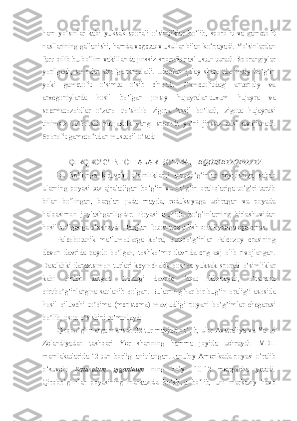 ham   yo’sinlar   kabi   yuksak   sporali   o’simliklar   bo’lib,   sporofit   va   gametofit
nasllarining gallanishi, hamda vegetativ usullar bilan ko’payadi. Yo’sinlardan
farq qilib bu bo’lim vakillarida jinssiz-sporofit nasl ustun turadi. Sporangiylar
yorilgach,   sporalar   atrofga   tarqaladi.   Ulardan   qulay   sharoitda   jinsiy   bo’g’in
yoki   gametofit   o’simta   o’sib   chiqadi.   Gametofitdagi   anteridiy   va
arxegoniylarda   hosil   bo’lgan   jinsiy   hujayralar-tuxum   hujayra   va
spermatozoidlar   o’zaro   qo’shilib   zigota   hosil   bo’ladi,   zigota   hujayrasi
tinimsiz   bo’linishi   natijasida   yangi   sporofit   ya’ni   jinssiz   nasl   rivojlanadi.
Sporofit gametofitdan mustaqil o’sadi.
QIRQBO’G’INTOIFALAR BO’LIMI -  EQUISETIOPHYTA
Bu   bo’limga   kiruvchi   o’simliklarni   qirqbo’g’inlar   deyilishiga   sabab
ularning   poyasi   tez   ajraladigan   bo’g’in   va   bo’g’in   oraliqlariga   to’g’ri   tartib
bilan   bo’lingan,   barglari   juda   mayda,   reduksiyaga   uchragan   va   poyada
halqasimon   joylashganligidir.   Poyasi   alohida   bo’g’inlarning   birlashuvidan
hosil bo’lganga o’xshaydi. Barglari fotosintez qilish qobiliyatiga ega emas. 
Paleobotanik   ma’lumotlarga   ko’ra,   qirqbo’g’inlar   Paleozoy   erasining
devon   davrida   paydo   bo’lgan,   toshko’mir   davrida   eng   avj   olib   rivojlangan.
Dastlabki   daraxtsimon   turlari   keyinchalik   boshqa   yuksak   sporali   o’simliklar
kabi   qirilib   ketgan.   Hozirgi   davrda   faqat   ildizpoyali,   o’tsimon
qirqbo’g’inlargina saqlanib qolgan. Bularning har bir bug’in oralig’i asosida
hosil   qiluvchi   to’qima   (meristema)   mavjudligi   poyani   bo’g’imlar   chegarasi
bo’lib, oson o’sishini ta’minlaydi.
Qirqbo’g’inlarga mansub 32 tur mavjud bo’lib, ular Avstraliya va Yangi
Zelandiyadan   tashqari   Yer   sharining   hamma   joyida   uchraydi.   MDH
mamlakatlarida 12 turi borligi aniqlangan. Janubiy Amerikada poyasi o’ralib
o’suvchi   Equisetum   giganteum   ning   bo’yi   10-12   metrgacha   yetadi.
Qirqbo’g’inlar   poyasining   markazida   bo’shliq   bo’lib,   uni   markaziy   havo 