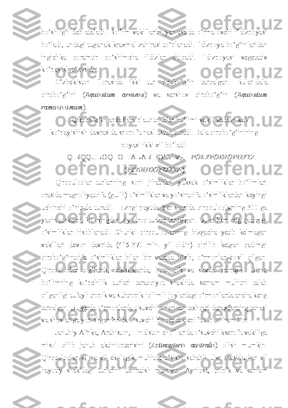 bo’shlig’i   deb   ataladi.   Bo’lim   vakillarini   yer   ostida   o’rmalovchi   ildizpoyasi
bo’ladi, undagi tuganak kraxmal zahirasi to’planadi. Ildizpoya bo’g’inlaridan
ingichka   qoramtir   qo’shimcha   ildizlar   chiqadi.   Ildizpoyasi   vegetativ
ko’payish a’zosidir.
O’zbekiston   florasida   ikki   tur   qirqbo’g’in   tarqalgan.   Bular-dala
qirqbo’g’ini   ( Equisetum   arvense )   va   sershox   qirqbo’g’in   ( Equisetum
ramosissimum ). 
Qirqbo’g’inlarda ham plauntoifalar bo’limi vakillaridagi kabi
ko’payishish davrasida sporofit nasl ustun turadi. Dala qirqbo’g’inining
poyasi ikki xil bo’ladi. 
QIRQQULOQTOIFALAR BO’LIMI –  POLYPODIOPHYTA
( PTERIDOPHYTA )
Qirqquloqlar   turlarining   soni   jihatidan   yuksak   o’simliklar   bo’limlari
orasida magnoliyatoifa  (gulli)  o’simliklar va yo’sintoifa o’simliklardan  keyingi
uchinchi   o ’ r i n d a   turadi. Hozirgi paytda Yer sharida   qirqquloqlarning 300 ga
yaqin turkumi, 10 mingdan ziyodroq turlari tarqalgan. Bular ham eng qadimgi
o’simliklar   hisoblanadi.   Chunki   qirqquloqlarning   bizgacha   yetib   kelmagan
vakillari   devon   davrida   (415-370   mln.   yil   oldin)   qirilib   ketgan   qadimgi
qirqbo’g’intoifa   o’simliklar   bilan   bir   vaqtda   o’sib,   o’rmonlar   hosil   qilgan.
Qirqquloqlar   tog’larda,   tekisliklarda,   botqoqlik   va   suvda   uchraydi.   Biroq
bo’limning   ko’pchilik   turlari   taraqqiyot   shaklida   sernam   muhitni   talab
qilganligi  tufayli tropik va subtropik  iqlimli  joylardagi o’rmonlarda ancha keng
tarqalgan. Bu yerda o’rmonlarda o'suvchi turlaridan tashqari daraxtlarning  tanasi
va shoxlariga yopishgan holda o’suvchi  bir  qancha epifit turlari  ham bor.
Janubiy Afrika, Arabiston, Hindiston cho’llarida o’suvchi kserofit vakiliga
misol   qilib   janub   aktiniopterisini   ( Actinopteris   australis )   olish   mumkin.
Qirqquloqlar   xilma-xil   ekologik   muhitda   o’sishi   sababli   ular   orasida   har   xil
hayotiy   shakldagi   turlarini   uchratish   mumkin.   Ayniqsa,   tropik   va   sernam 