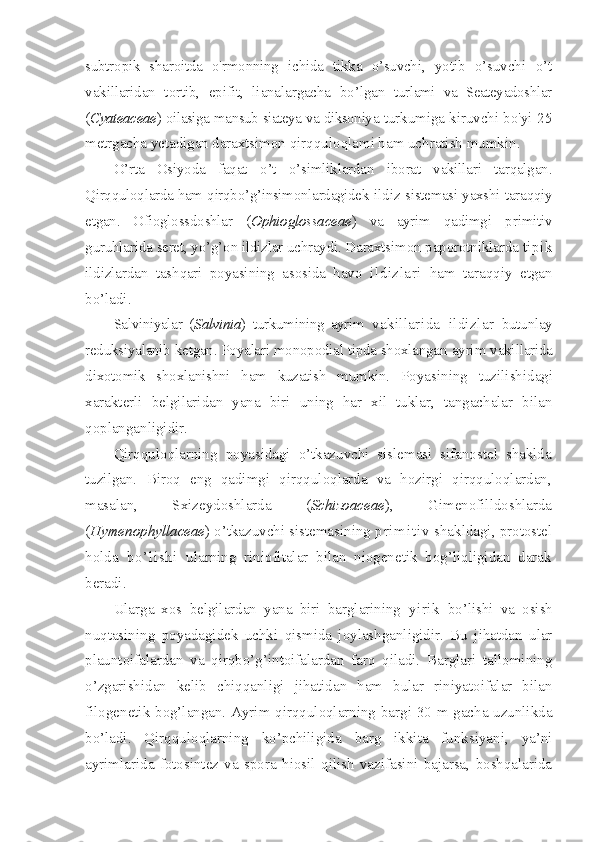 subtropik   sharoitda   o'rmonning   ichida   tikka   o’suvchi,   yotib   o’suvchi   o’t
vakillaridan   tortib,   epifit,   lianalargacha   bo’lgan   turlami   va   Seateyadoshlar
( Cyateaceae ) oilasiga mansub siateya va diksoniya  turkumiga kiruvchi bo'yi 25
metrgacha yetadigan daraxtsimon  qirqquloqlami ham uchratish mumkin.
O’rta   Osiyoda   faqat   o’t   o’simliklardan   iborat   vakillari   tarqalgan.
Qirqquloqlarda ham qirqbo’g’insimonlardagidek   ildiz  sistemasi yaxshi   taraqqiy
etgan.   Ofioglossdoshlar   ( Ophioglossaceae )   va   ayrim   qadimgi   primitiv
guruhlarida seret, yo’g’on ildizlar uchraydi. Daraxtsimon  paporotniklarda  tipik
ildizlardan   tashqari   poyasining   asosida   havo   ildizlari   ham   taraqqiy   etgan
bo’ladi.
Salviniyalar   ( Salvinia )   turkumining   ayrim   vakillarida   ildizlar   butunlay
reduksiyalanib ketgan. Poyalari monopodial tipda shoxlangan  ayrim vakillarida
dixotomik   shoxlanishni   ham   kuzatish   mumkin.   Poyasining   tuzilishidagi
xarakterli   belgilaridan   yana   biri   uning   har   xil   tuklar,   tangachalar   bilan
qoplanganligidir.
Qirqquloqlarning   poyasidagi   o’tkazuvchi   sislemasi   sifanostel   shaklda
tuzilgan.   Biroq   eng   qadimgi   qirqquloqlarda   va   hozirgi   qirqquloqlardan,
masalan,   Sxizeydoshlarda   ( Schizoaceae ),   Gimenofilldoshlarda
( Hymenophyllaceae ) o’tkazuvchi sistemasining  p ri m it i v  shakldagi,   protostel
holda   bo ’li sh i   ularning   riniofitalar   bilan   niogenetik   bog’liqligidan   darak
beradi.
Ularga   xos   belgilardan   yana   biri   barglarining   yirik   bo’lishi   va   osish
nuqtasining   poyadagidek   uchki   qismida   joylashganligidir.   Bu   jihatdan   ular
plauntoifalardan   va   qirqbo’g’intoifalardan   farq   qiladi.   Barglari   tallomining
o’zgarishidan   kelib   chiqqanligi   jihatidan   ham   bular   riniyatoifalar   bilan
filogenetik bog’langan. Ayrim qirqquloqlarning bargi 30 m gacha uzunlikda
bo’ladi.   Qirqquloqlarning   ko’pchiligida   barg   ikkita   funksiyani,   ya’ni
ayrimlarida   fotosintez   va   spora   hiosil   qilish   vazifasini   bajarsa,   boshqalarida 