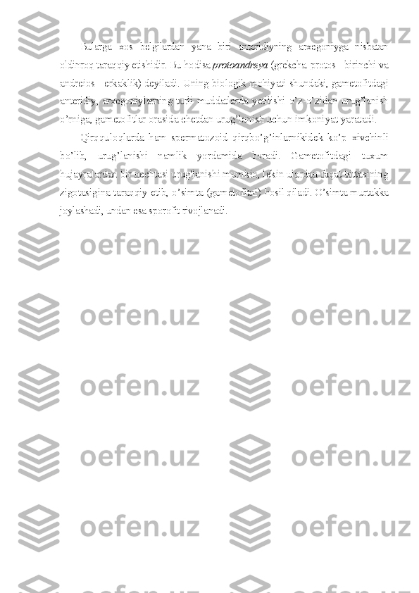 Bularga   xos   belgilardan   yana   biri   anteridiyning   arxegoniyga   nisbatan
oldinroq taraqqiy etishidir. Bu hodisa  protoandreya  (grekcha. protos -  birinchi va
andreios - erkaklik) deyiladi. Uning biologik mohiyati  shundaki, gametofitdagi
anteridiy, arxegoniylarning turli muddatlarda   yetilishi   o’z-o’zidan   urug’lanish
o’rniga, gametofitlar orasida chetdan  urug’lanish uchun imkoniyat yaratadi.
Qirqquloqlarda   ham   spermatozoid   qirqbo’g’inlarnikidek   ko’p   xivchinli
bo’lib,   urug’lanishi   namlik   yordamida   boradi.   Gametofitdagi   tuxum
hujayralardan bir nechtasi urug'lanishi mumkin, lekin ulardan faqat bittasining
zigotasigina taraqqiy etib, o’simta (gametofitni)  hosil qiladi. O’simta murtakka
joylashadi, undan esa sporofit rivojlanadi. 