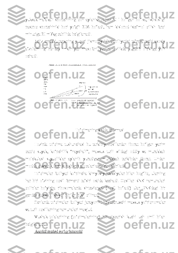 yuksak   malakali   sportchining   qon   aylanish   hajmi   30   l   bo‘lgan   bo‘lsa,   ixtisosligi
pastroq   sportchiniki   bori   yo‘g‘i   20%   bo‘ladi,   ham   kislorod   iste’mol   qilish   farqi
minutiga 20 ml/kg qabilida belgilanadi.
Bejiz   emaski,   tananing   yuqori   jismoniy   ish   qobiliyatini   ta’minlovchi   asosiy
a’zolarining   bunday   imkoniyati   masofani   yuqori   tezlikda   yugurib   o‘tishga   yo‘l
ochadi.
To‘qimaning sodda chizmasi
Hozirda   to‘qima   tushunchasi   bu   tarkibiy   oqsillardan   iborat   bo‘lgan   yarim
qattiq   suyak,   ko‘pchilik   “naychali”,   maxsus   turli   xildagi   oddiy   va   murakkab
molekulasi   suyuqliklar   aylanib   yuradigan   murakkab   tarkibdan   iborat.   Undan
modda-quvvatli, hamda axborot aloqalari amalga oshiriladi.
To‘qimalar   faoliyati   ko‘pincha   kimyoviy   reaksiyalar   bilan   bog‘liq,   ularning
har   biri   o‘zining   oqsil-fermenti   ta’siri   ostida   kechadi.   Oqsillar   RNK   namunalari
qoliplar   bo‘yicha   ribosomalarda   sintezlanadi   (hosil   bo‘ladi)   ular   DNKdagi   bir
gendan nusxa olish yo‘li bilan hosil qilinadi.
Genlarda to‘qimalar  faoliyati jarayonini  boshqaruvchi  maxsus yo‘riqnomalar
va turli oqsillarning namunalari mavjud.
Mushak   tolalarining   (to‘qimalarining)   bir   qisqarish   kuchi   uch   omil   bilan
belgilanadi:
-kuchli tashqi qo‘zg‘atuvchi 