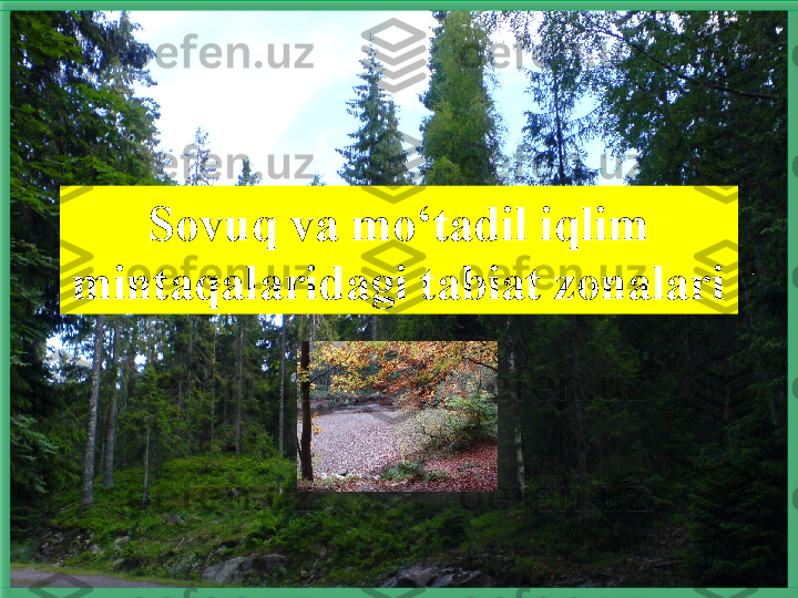 Sovuq va mo‘tadil iqlim  
mintaqalaridagi tabiat zonalari   