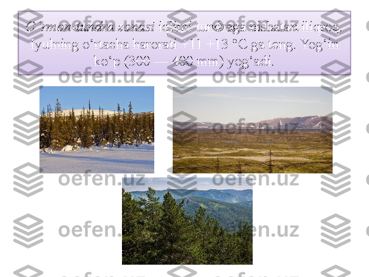 O‘rmon-tundra zonasi  iqlimi tundraga nisbatan iliqroq. 
Iyulning o‘rtacha harorati +11 +13 °C ga teng. Yog‘in 
ko‘p (300 — 400 mm) yog‘adi.  