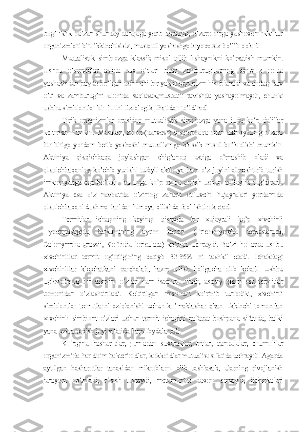 bog’liklik ba’zan shunday darajaga yetib boradiki, o’zaro birga yashovchi ikki tur
organizmlari biri ikkinchisisiz, mustaqil yashashga layoqatsiz bo’lib qoladi.
Mutualistik   simbiozga   klassik   misol   qilib   lishaynikni   ko’rsatish   mumkin.
Ushbu   o’simliklar   aslida   suv   o’tlari   bilan   zamburug’larning   simbioz   holda
yashashidan paydo bo’lgan uchinchi bir yaxlit organizm hisoblanadi va undagi suv
o’ti   va   zamburug’ni   alohida   saqlasak,mustaqil   ravishda   yashayolmaydi,   chunki
ushbu simbiontlar bir-birini fiziologik jihatidan to’ldiradi. 
Tirik   organizmlar   orasidan   mutualistik   simbiozga   yana   juda   ko’p   dalillar
keltirish mumkin. Masalan, zohid (darvesh) qisqichbaqa bilan aktiniyaning o’zaro
bir-biriga   yordam   berib   yashashi   mutualizmga   klassik   misol   bo’laolishi   mumkin.
Aktiniya   qisqichbaqa   joylashgan   chig’anoq   ustiga   o’rnashib   oladi   va
qisqichbaqaning ko’chib yurishi tufayli aktiniya ham o’z joyini almashtirib turish
imkoniyatiga   ega   bo’ladi.   Bu   unga   ko’p   oziqa   topish   uchun   qo’laylik   tug’diradi.
Aktiniya   esa   o’z   navbatida   o’zining   zaharli   otiluvchi   hujayralari   yordamida
qisqichbaqani dushmanlaridan himoya qilishda faol ishtirok etadi.
Termitlar   ichagining   keyingi   qismida   bir   xujayrali   ko’p   xivchinli
Hypermastigida   turkumining   ayrim   turlari   (Trichonympha   turkestanica,
Calonympha   grassii,   Kofoidia   loriculata)   ko’plab   uchraydi.   Ba’zi   hollarda   ushbu
xivchinlilar   termit   og’irligining   qariyb   33-36%   ni   tashkil   etadi.   Ichakdagi
xivchinlilar   kletchatkani   parchalab,   hazm   qilish   holigacha   olib   keladi.   Ushbu
uglevodning   bir   qismini   o’zlari   ham   istemol   qiladi,   asosiy   qismi   esa   termitlar
tomonidan   o’zlashtiriladi.   Keltirilgan   misoldan   ko’rinib   turibdiki,   xivchinli
simbiontlar   termitlarni   oziqlanishi   uchun   ko’maklashar   ekan.   Ikkinchi   tomondan
xivchinli   simbiont   o’zlari   uchun   termit   ichagini   nafaqat   boshpana   sifatida,   balki
yana oziqa topish joyi sifatida ham foydalanadi.
Ko’pgina   hasharotlar,   jumladan   suvaraklar,   bitlar,   qandalalar,   chumolilar
organizmida har doim bakterioidlar, kokkoidlar mutualist sifatida uchraydi. Agarda
aytilgan   hasharotlar   tanasidan   mikroblarni   olib   tashlasak,   ularning   rivojlanish
jarayoni   bo’ziladi,   o’sish   tuxtaydi,   metamorfoz   davom   etmaydi,   lichinkalari 