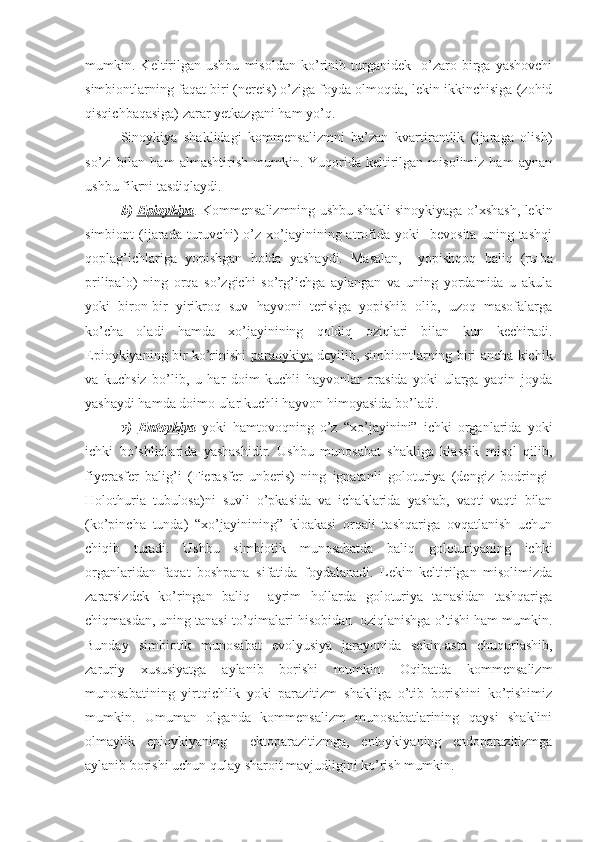 mumkin.   Keltirilgan   ushbu   misoldan   ko’rinib   turganidek     o’zaro   birga   yashovchi
simbiontlarning faqat biri (nereis) o’ziga foyda olmoqda, lekin ikkinchisiga (zohid
qisqichbaqasiga) zarar yetkazgani ham yo’q.
Sinoykiya   shaklidagi   kommensalizmni   ba’zan   kvartirantlik   (ijaraga   olish)
so’zi   bilan   ham   almashtirish   mumkin.   Yuqorida   keltirilgan   misolimiz   ham   aynan
ushbu fikrni tasdiqlaydi.
b)   Epioykiya . Kommensalizmning ushbu shakli sinoykiyaga o’xshash, lekin
simbiont   (ijarada  turuvchi)   o’z  xo’jayinining  atrofida   yoki     bevosita   uning   tashqi
qoplag’ichlariga   yopishgan   holda   yashaydi.   Masalan,     yopishqoq   baliq   (r ы ba
prilipalo)   ning   orqa   so’zgichi   so’rg’ichga   aylangan   va   uning   yordamida   u   akula
yoki   biron-bir   yirikroq   suv   hayvoni   terisiga   yopishib   olib,   uzoq   masofalarga
ko’cha   oladi   hamda   xo’jayinining   qoldiq   oziqlari   bilan   kun   kechiradi.
Epioykiyaning bir ko’rinishi   paraoykiya   deyilib, simbiontlarning biri ancha kichik
va   kuchsiz   bo’lib,   u   har   doim   kuchli   hayvonlar   orasida   yoki   ularga   yaqin   joyda
yashaydi hamda doimo ular kuchli hayvon himoyasida bo’ladi.
v)   Entoykiya   yoki   hamtovoqning   o’z   “xo’jayinini”   ichki   organlarida   yoki
ichki   bo’shliqlarida   yashashidir.   Ushbu   munosabat   shakliga   klassik   misol   qilib,
fiyerasfer   balig’i   (Fierasfer   unberis)   ning   ignatanli   goloturiya   (dengiz   bodringi-
Holothuria   tubulosa)ni   suvli   o’pkasida   va   ichaklarida   yashab,   vaqti-vaqti   bilan
(ko’pincha   tunda)   “xo’jayinining”   kloakasi   orqali   tashqariga   ovqatlanish   uchun
chiqib   turadi.   Ushbu   simbiotik   munosabatda   baliq   goloturiyaning   ichki
organlaridan   faqat   boshpana   sifatida   foydalanadi.   Lekin   keltirilgan   misolimizda
zararsizdek   ko’ringan   baliq     ayrim   hollarda   goloturiya   tanasidan   tashqariga
chiqmasdan, uning tanasi to’qimalari hisobidan  oziqlanishga o’tishi ham mumkin.
Bunday   simbiotik   munosabat   evolyusiya   jarayonida   sekin-asta   chuqurlashib,
zaruriy   xususiyatga   aylanib   borishi   mumkin.   Oqibatda   kommensalizm
munosabatining   yirtqichlik   yoki   parazitizm   shakliga   o’tib   borishini   ko’rishimiz
mumkin.   Umuman   olganda   kommensalizm   munosabatlarining   qaysi   shaklini
olmaylik   epioykiyaning     ektoparazitizmga,   entoykiyaning   endoparazitizmga
aylanib borishi uchun qulay sharoit mavjudligini ko’rish mumkin. 