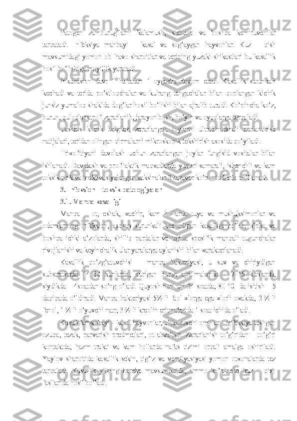 Patogen   zamburug’larni   kalamush,   sichqon   va   boshqa   kemiruvchilar
tarqatadi.   Infeksiya   manbayi   –   kasal   va   sog’aygan   hayvonlar.   Kuz   –   qish
mavsumidagi yomon ob–havo sharoitlar va terining yuzaki shikastlari bu kasallik
hosil bo’lishiga moyillik yaratadi.
Inkubasion   davr   1   haftadan   1   oygacha   davom   etadi.   Kasallik   surunkali
kechadi   va   terida   po’stloqchalar   va   kulrang   tangachalar   bilan   qoplangan   kichik
junsiz yumaloq shaklda dog’lar hosil bo’lishi bilan ajralib turadi. Ko’pincha ko’z,
burun, quloqlar atrofi zararlanib, jarayon bosh, bo’yin va oyoqlarga tarqaladi.
Tashhis   klinik   belgilar,   zararlangan   joylarni   ultrabinafshali   nurlantirish
natijalari, teridan olingan qirmalarni mikroskopik tekshirish asosida qo’yiladi.
Trixofitiyani   davolash   uchun   zararlangan   joylar   fungisid   vositalar   bilan
ishlanadi. Davolash va profilaktik maqsadlarda yuqori samarali, ishonchli va kam
toksik tirik va inaktivasiyalangan vaksinalar 2 baravar ko’p miqdorda qo’llanadi.
3.  Infeksion – toksik patologiyalar 
3.1.  Manqa kasalligi
Manqa   –   ot,   eshak,   xachir,   kam   hollarda   tuya   va   mushuksimonlar   va
odamlarning   infeksion,   asosan   surunkali   kechadigan   kasalligi   bo’lib,   o’pka   va
boshqa   ichki   a’zolarda,   shilliq   pardalar   va   terida   spesifik   manqali   tugunchalar
rivojlanishi va keyinchalik ular yaralarga aylanishi bilan xarakterlanadi. 
Kasallik   qo’zg’atuvchisi   –   manqa   bakteriyasi,   u   suv   va   chiriydigan
substratlarda   14–30   kunlarda,   qurigan   burun   ajralmalarida   –   7–15   kunlarda,
siydikda – 4soatdan so’ng o’ladi. Quyosh nuri uni 24 soatda, 80   °C   da isitish – 5
daqiqada o’ldiradi. Manqa  bakteriyasi  5%  li faol xlorga ega xlorli oxakda, 2   % li
fenol, 1   % li o’yuvchi natr, 3   % li kreolin eritmalarida 1 soat ichida o’ladi. 
Kasallik manbayi – kasal hayvonlar, o’tkazuvchi omillar – infeksiya tushgan
ozuqa,   tezak,   parvarish   predmetlari,   ot   abzallari.   Zararlanish   to’g’ridan   –   to’g’ri
kontaktda,   hazm   trakti   va   kam   hollarda   nafas   tizimi   orqali   amalga   oshiriladi.
Yaylov   sharoitida   kasallik   sekin,   tig’iz   va   ventilyasiyasi   yomon   otxonalarda   tez
tarqaladi.   Kasallik   yilning   barcha   mavsumlarida,   ammo   ko’pincha   kuz   –   qish
fasllarida hosil bo’ladi. 