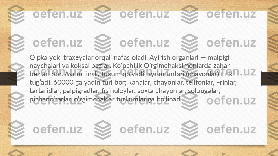 O’pka yoki traxeyalar orqali nafas oladi. Ayirish organlari — malpigi 
naychalari va koksal bezlar. Ko’pchilik O’rgimchaksimonlarda zahar 
bezlari bor. Ayrim jinsli, tuxum qo’yadi, ayrim turlari (chayonlar) tirik 
tug’adi. 60000 ga yaqin turi bor; kanalar, chayonlar, telifonlar, Frinlar, 
tartaridlar, palpigradlar, fisinuleylar, soxta chayonlar, solpugalar, 
pichano’rarlar, o’rgimchaklar turkumlariga bo’linadi . 