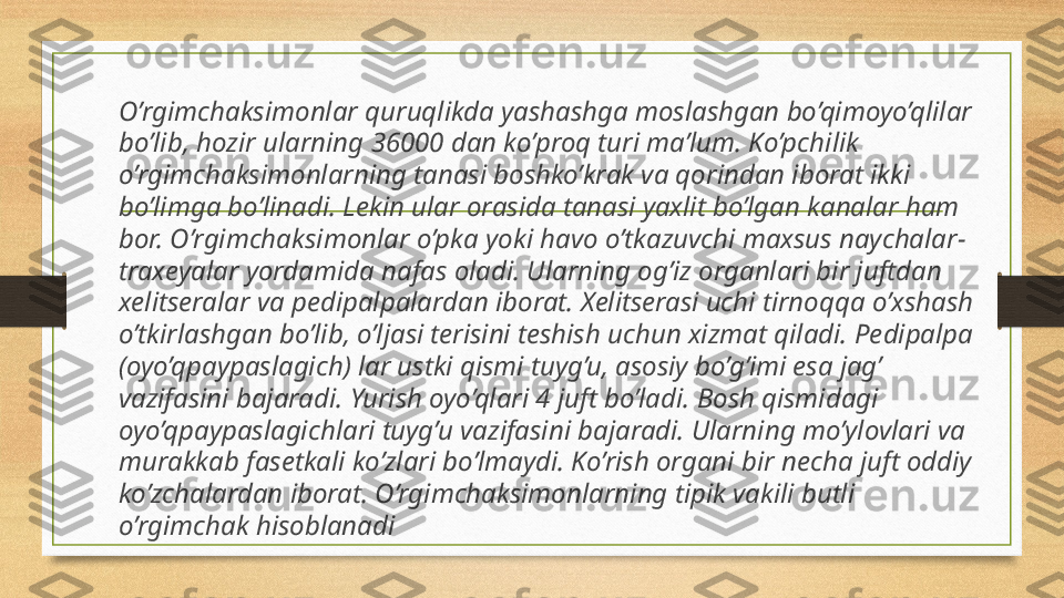 O’rgimchaksimonlar quruqlikda yashashga moslashgan bo’qimoyo’qlilar 
bo’lib, hozir ularning 36000 dan ko’proq turi ma’lum. Ko’pchilik 
o’rgimchaksimonlarning tanasi boshko’krak va qorindan iborat ikki 
bo’limga bo’linadi. L е kin ular orasida tanasi yaxlit bo’lgan kanalar ham 
bor. O’rgimchaksimonlar o’pka yoki havo o’tkazuvchi maxsus naychalar-
trax е yalar yordamida nafas oladi. Ularning og’iz organlari bir juftdan 
x е litseralar va p е dipalpalardan iborat. X е litserasi uchi tirnoqqa o’xshash 
o’tkirlashgan bo’lib, o’ljasi terisini t е shish uchun xizmat qiladi. P е dipalpa 
(oyo’qpaypaslagich) lar ustki qismi tuyg’u, asosiy bo’g’imi esa jag’ 
vazifasini bajaradi. Yurish oyo’qlari 4 juft bo’ladi. Bosh qismidagi 
oyo’qpaypaslagichlari tuyg’u vazifasini bajaradi. Ularning mo’ylovlari va 
murakkab fas е tkali ko’zlari bo’lmaydi. Ko’rish organi bir n е cha juft oddiy 
ko’zchalardan iborat. O’rgimchaksimonlarning tipik vakili butli 
o’rgimchak hisoblanadi 