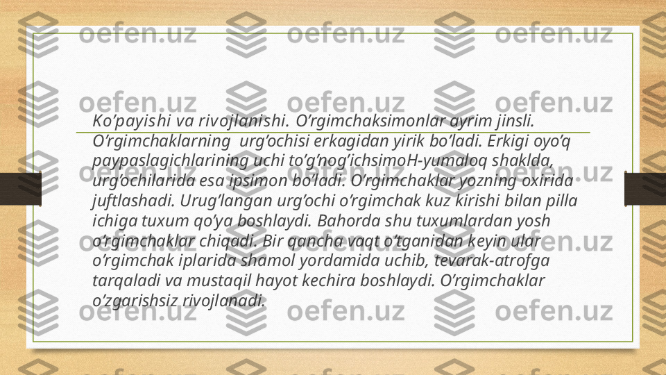 K o’payishi va rivojlanishi.  O’rgimchaksimonlar ayrim jinsli. 
O’rgimchaklarning  urg’ochisi erkagidan yirik bo’ladi. Erkigi oyo’q 
paypaslagichlarining uchi to’g’nog’ichsimoH-yumaloq shaklda, 
urg’ochilarida esa ipsimon bo’ladi. O’rgimchaklar yozning oxirida 
juftlashadi. Urug’langan urg’ochi o’rgimchak kuz kirishi bilan pilla 
ichiga tuxum qo’ya boshlaydi. Bahorda shu tuxumlardan yosh 
o’rgimchaklar chiqadi. Bir qancha vaqt o’tganidan k е yin ular 
o’rgimchak iplarida shamol yordamida uchib, t е varak-atrofga 
tarqaladi va mustaqil hayot k е chira boshlaydi. O’rgimchaklar 
o’zgarishsiz rivojlanadi. 