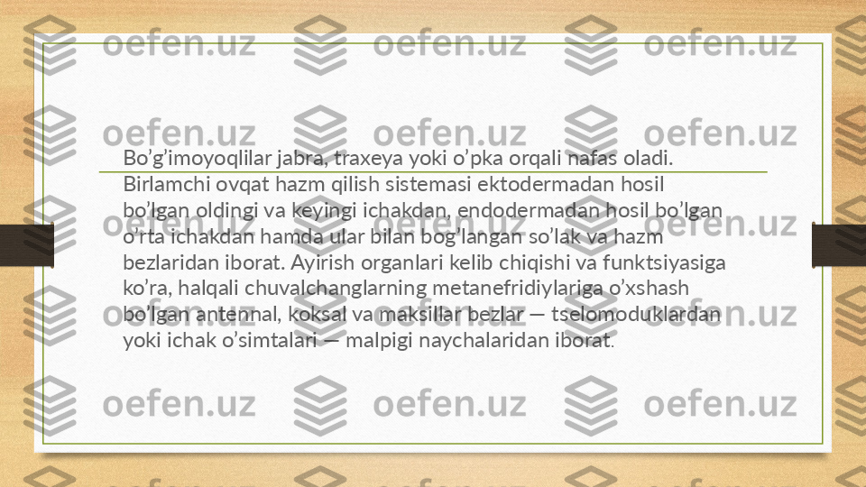 Bo’g’imoyoqlilar jabra, traxeya yoki o’pka orqali nafas oladi. 
Birlamchi ovqat hazm qilish sistemasi ektodermadan hosil 
bo’lgan oldingi va keyingi ichakdan, endodermadan hosil bo’lgan 
o’rta ichakdan hamda ular bilan bog’langan so’lak va hazm 
bezlaridan iborat. Ayirish organlari kelib chiqishi va funktsiyasiga 
ko’ra, halqali chuvalchanglarning metanefridiylariga o’xshash 
bo’lgan antennal, koksal va maksillar bezlar — tselomoduklardan 
yoki ichak o’simtalari — malpigi naychalaridan iborat . 