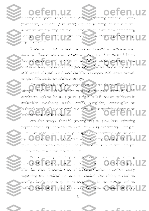 butaning   populyasion   shakli   bilan   bog‘liq.   Tikanlarining   birinchisi   -   kichik
(tikanchalar, uzunligi to 0,4 sm gacha)   ko‘plab poyalarning uchida hosil bo‘ladi
va kamdan kam   poyaning o‘rta qismida   hosil bo‘ladi. Tikanlar   ikkinchi turining
uzunligi 2-6 sm teng bo‘lib, poyalarda   hosil   bo‘ladi   va   o‘zgar tiril gan   kalta yozgi
poya   hisoblanadi.
Chakandaning   yosh   poyalari   va   barglari   yulduzsimon   tukchalar   bilan
qoplangan.   Barglari   uzunchoq,   lansetsimon,   uzunligi   to   8   sm   va   eni   3-9   mm.
Barg   og‘izchalari   bargning   ostki   qismida   tukchalar   ostida   joylashgan.   Poya,
shox   va po‘stlog‘ining rangi qo‘ng‘ir yoki qoramtir bo‘ladi. Barglarining rangi –
ustki   tomoni   to‘q  yashil,   zich   tukchalar   bilan   qoplangan,  ostki   tomoni   kumush
rangda   bo‘lib,   ularda   ham   tukchalar   uchraydi.
Chakandazorlarda   sog‘lom,   quriyotgan   va   qurigan   chakanda   tuplari   ham
uchraydi.   Sog‘lom   tuplarda   barglar   vegetasiya   oxirigacha   saqlanadi,   kuchli
zararlangan   tuplarda   bir   xil   poyalari   qurigan   bo‘ladi.   Asosan   qo‘riqxonada
chakandalar   qurishining   sababi   qarrilik,   yong‘inlar,   zamburug‘lar   va
hasharotlardan kasallanish   va   zararlanish, tuproqda   suv   rejimining   o‘zgarishi   va
boshqalar   bilan bog‘liq   bo‘ladi. 
Zarafshon   vodiysi   sharoitida   yozning   issiq   va   quruq   havo   oqimining
paydo   bo‘lishi   tufayli chakandalarda kseroform xususiyatlar ham paydo bo‘lgan.
Ular   quyidagilar   –   kuchli   tikanligi,   barglarda   tukchalarning   ko‘p   va   zich
joylashishi,   barglarning   kichik   bo‘lishi   va   mevalarning   maydaligi   bilan   farq
qiladi.   Lekin   chakandazorlarda   juda   qiziqarli   chakanda   shakllari   ham   uchraydi.
Ular   kam   tikanli va   mevalari   katta   bo‘ladi.
Zarafshon   milliy   tabiat   bog‘ida   chakandazorlar   asosan   chakandalarning
har xil   shakllaridan tarkib topgan, ular o‘z navbatida bir-biridan har xil belgilari
bilan   farq   qiladi.   Chakanda   shaklllari   bir-biridan   tuplarning   tuzilishi,   asosiy
poyasining   eni,   novdalarining   qalinligi,   ulardagi   tikanlarining   miqdori   va
uzunligi,   barglarining   rangi,   bir   kurtakdan   hosil   bo‘lgan   mevalar   soni   va
hosildorlik   darajasi   bir-biridan   farq   qiladi.   O‘z   navbatida   mevalarning   shakli,
20 