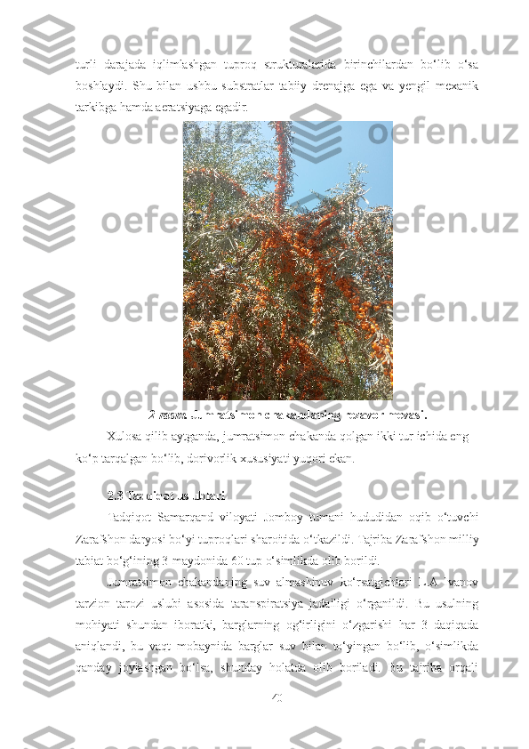 turli   darajada   iqlimlashgan   tuproq   strukturalarida   birinchilardan   bo‘lib   o‘sa
boshlaydi.   Shu   bilan   ushbu   substratlar   tabiiy   drenajga   ega   va   yengil   mexanik
tarkibga hamda aeratsiyaga egadir.  
2-rasm.  Jumratsimon chakandaning rezavor mevasi.
Xulosa qilib aytganda, jumratsimon chakanda qolgan ikki tur ichida eng
ko‘p tarqalgan bo‘lib, dorivorlik xususiyati yuqori ekan.
2.3 Tadqiqot uslublari
Tadqiqot   S amarqand   viloyati   Jomboy   tuman i   hududidan   oqib   o‘tuvchi
Zarafshon daryosi bo‘yi  tuproqlari sharoitida o‘tkazildi.  Tajriba Zarafshon milliy
tabiat bo‘g‘ining 3-maydonida 60 tup o‘simlikda olib borildi.
Jumratsimon   chakandaning   suv   almashinuv   ko‘rsatgichlari   L.A   Ivanov
tarzion   tarozi   uslubi   asosida   taranspiratsiya   jadalligi   o‘rganildi.   Bu   usulning
mohiyati   shundan   iboratki,   barglarning   og‘irligini   o‘zgarishi   har   3   daqiqada
aniqlandi,   bu   vaqt   mobaynida   barglar   suv   bilan   to‘yingan   bo‘lib,   o‘simlikda
qanday   joylashgan   bo‘lsa,   shunday   holatda   olib   boriladi.   Bu   tajriba   orqali
40 