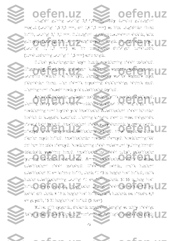 Urug‘chi   gulning   uzunligi   2,6-4,2   mm,   oddiy   dumaloq   gulqurg‘oni
mavjud   (uzunligi   1,5-3,2   mm,   eni   0,8-1,2   mm)   va   bitta   urug‘chidan   iborat
bo‘lib, uzunligi 2,1-3,0 mm.   Gulqurg‘oni  uzunchoq-tuxumsimon shaklda, kalta
gulpoyada (uzunligi 0,3-0,8 mm), sarg‘ich-yashil rangda. Urug‘chi kalta poyali
(uzunligi   0,1-0,3   mm)   va   bir   tomonlama   cho‘zilgan   tumshuqcha
(tumshuqchaning uzunligi 1-1,5 mm) sariq rangda.
Gullash   yakunlangandan   keyin   butada   novdalarning   o‘sishi   tezlashadi.
O‘tgan   yilgi   novdalarda   joylashgan   kurtaklardan   vegetativ   xarakterga   ega
uzunchoq   novdalar   o‘sa   boshlaydi,   ularning   asosiy   vazifasi   vegetativ   qayta
tiklanishdan   iborat.   Ular   o‘simlik   poyasining   shakllanishiga   ishtirok   etadi.
Ularning nomi o‘suvchi novda yoki auksiblastlar deyiladi. 
Aralash kurtaklardan, gullardan tashqari kalta yillik novdalar shakllanadi,
ularning   asosiy   vazifasi   plastik   moddalarning   sintezi   bilan   bog‘langan.   Bu
novdalarning nomi boyitish yoki  braxiblastlar. Auksiblastlarni  o‘sishi bahordan
boshlab   do  kuzgacha   kuzatiladi.  Ularning  ko‘pgina   qismi   to   meva  pishganicha
o‘z vazifasini bajaradi. Braxiblastlarni o‘sishi vodiy sharoitida iyunning oxirida
to‘xtaydi.   O‘sish   jarayonida   auksiblastlar   shoxlanadi.   Bir   xil   paytlarda   ularda
tikanlar   paydo bo‘ladi. Braxiblastlardan novdalar o‘smaydi. Novdalarning ikki
tipi   ham   bir   tekis   o‘smaydi.   Novdalarning   o‘sish   maksimumi   iyulning   birinchi
dekadasida   yaxshiroq   boradi.   Braxiblastlar   tez   o‘sishi   tufayli,   auksiblastlar
iyunning   oxirigacha   sekin   o‘sadi.   Ammo   braxiblastlar   o‘sishini   to‘xtatsa,
auksiblastlarni   o‘sishi   tezlashadi.   O‘sishning   oxirida,   onalik   butalarni
auksiblastlari 30 sm ko‘proq bo‘lib, ularda 40-45 ta barglar hosil bo‘ladi, otalik
butalar   auksiblastlarining   uzunligi   40   sm   bo‘lib,   ularda   50-55   ta   barg   hosil
bo‘ladi.   Onalik   butalarda   braxiblastlar   uzunligi   o‘sishining   oxirida   6,2   sm
tashkil etib ularda 8-13 ta barglar hosil bo‘ladi, otalik butalarda esa o‘rtacha 8,3
sm ga yetib, 15-20 barglar hosil bo‘ladi (5-rasm). 
Xulosa   qilib   aytganda,   chakanda   tarqalishini   kengligi   va   tabiiy   o‘sishiga
fasliy iqlimning ta siri   ularda  polimorfizmni  va  fiziologik  o‘zgarishlarni   paydoʼ
49 