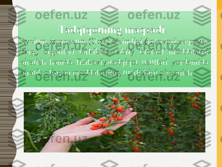 Tadqiqotning maqsadi.	 
Lycium depressum  (Goji)  o’simligi  (rezavori va poya-
barg)  organlari   tarkibida  tabiiy  biofaol  moddalarni 
ajratish  hamda  fizikaviy-tadqiqot  usullari  yordamida 
ajratib olingan moddalarning tuzilishini o’rganish . 