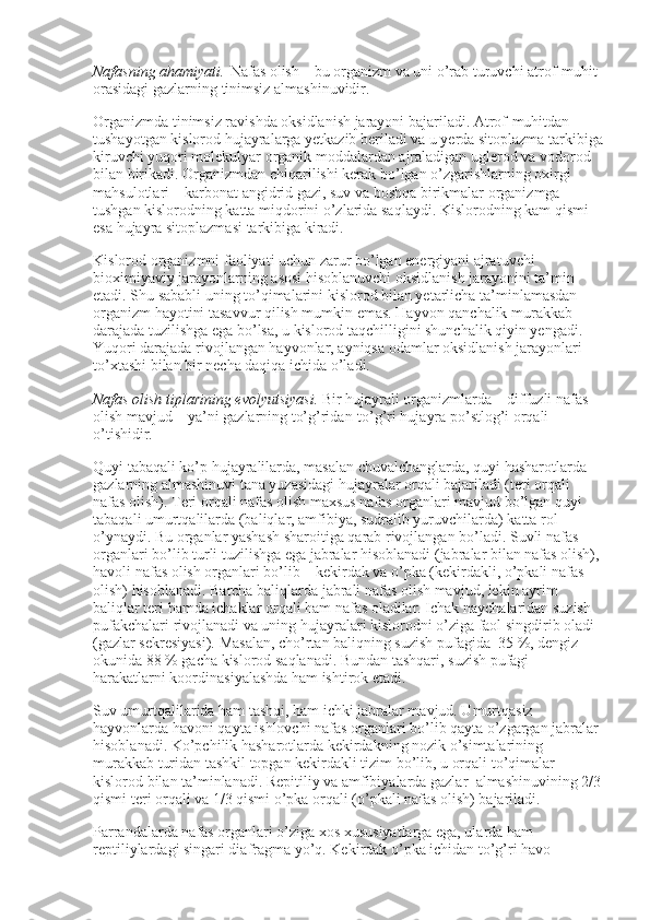 Nafasning ahamiyati.   Nafas olish – bu organizm va uni o’rab turuvchi atrof-muhit 
orasidagi gazlarning tinimsiz almashinuvidir.
Organizmda tinimsiz ravishda oksidlanish jarayoni bajariladi. Atrof-muhitdan 
tushayotgan kislorod hujayralarga yetkazib beriladi va u yerda sitoplazma tarkibiga
kiruvchi yuqori molekulyar organik moddalardan ajraladigan uglerod va vodorod 
bilan birikadi. Organizmdan chiqarilishi kerak bo’lgan o’zgarishlarning oxirgi 
mahsulotlari – karbonat angidrid gazi, suv va boshqa birikmalar organizmga 
tushgan kislorodning katta miqdorini o’zlarida saqlaydi. Kislorodning kam qismi 
esa hujayra sitoplazmasi tarkibiga kiradi.
Kislorod organizmni faoliyati uchun zarur bo’lgan energiyani ajratuvchi 
bioximiyaviy jarayonlarning asosi hisoblanuvchi oksidlanish jarayonini ta’min 
etadi. Shu sababli uning to’qimalarini kislorod bilan yetarlicha ta’minlamasdan 
organizm hayotini tasavvur qilish mumkin emas. Hayvon qanchalik murakkab 
darajada tuzilishga ega bo’lsa, u kislorod taqchilligini shunchalik qiyin yengadi. 
Yuqori darajada rivojlangan hayvonlar, ayniqsa odamlar oksidlanish jarayonlari 
to’xtashi bilan bir necha daqiqa ichida o’ladi.
Nafas olish tiplarining evolyutsiyasi.   Bir hujayrali organizmlarda – diffuzli nafas 
olish mavjud – ya’ni gazlarning to’g’ridan-to’g’ri hujayra po’stlog’i orqali 
o’tishidir.
Quyi tabaqali ko’p hujayralilarda, masalan chuvalchanglarda, quyi hasharotlarda 
gazlarning almashinuvi tana yuzasidagi hujayralar orqali bajariladi (teri orqali 
nafas olish). Teri orqali nafas olish maxsus nafas organlari mavjud bo’lgan quyi 
tabaqali umurtqalilarda (baliqlar, amfibiya, sudralib yuruvchilarda) katta rol 
o’ynaydi. Bu organlar yashash sharoitiga qarab rivojlangan bo’ladi. Suvli nafas 
organlari bo’lib turli tuzilishga ega jabralar hisoblanadi (jabralar bilan nafas olish), 
havoli nafas olish organlari bo’lib – kekirdak va o’pka (kekirdakli, o’pkali nafas 
olish) hisoblanadi. Barcha baliqlarda jabrali nafas olish mavjud, lekin ayrim 
baliqlar teri hamda ichaklar orqali ham nafas oladilar. Ichak naychalaridan suzish 
pufakchalari rivojlanadi va uning hujayralari kislorodni o’ziga faol singdirib oladi 
(gazlar sekresiyasi). Masalan, cho’rtan baliqning suzish pufagida    35 %, dengiz 
okunida 88 % gacha kislorod saqlanadi. Bundan tashqari, suzish pufagi 
harakatlarni koordinasiyalashda ham ishtirok etadi.
Suv umurtqalilarida ham tashqi, ham ichki jabralar mavjud. Umurtqasiz 
hayvonlarda havoni qayta ishlovchi nafas organlari bo’lib qayta o’zgargan jabralar 
hisoblanadi. Ko’pchilik hasharotlarda kekirdakning nozik o’simtalarining 
murakkab turidan tashkil topgan kekirdakli tizim bo’lib, u orqali to’qimalar 
kislorod bilan ta’minlanadi. Repitiliy va amfibiyalarda gazlar    almashinuvining 2/3
qismi teri orqali va 1/3 qismi o’pka orqali (o’pkali nafas olish) bajariladi.
Parrandalarda nafas organlari o’ziga xos xususiyatlarga ega, ularda ham 
reptiliylardagi singari diafragma yo’q. Kekirdak o’pka ichidan to’g’ri havo  