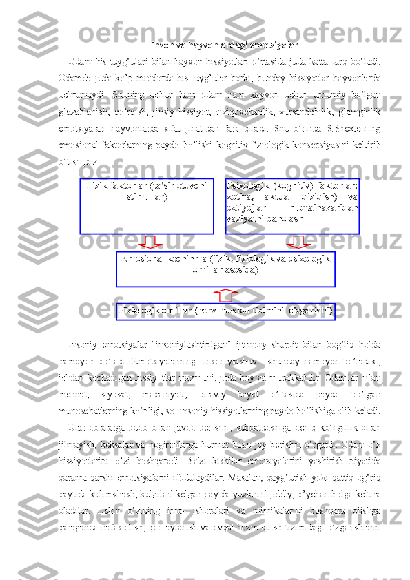 Inson va hayvonlardagi emotsiyalar
Odam   his-tuyg’ulari   bilan   hayvon  hissiyotlari   o’rtasida   juda   katta   farq  bo’ladi.
Odamda   juda   ko’p   miqdorda   his-tuyg’ular   borki,   bunday   hissiyotlar   hayvonlarda
uchramaydi.   Shuning   uchun   ham   odam   ham   xayvon   uchun   umumiy   bo’lgan
g’azablanish,   qo’rqish,   jinsiy   hissiyot,   qiziquvchanlik,   xursandchilik,   g’amginlik
emotsiyalari   hayvonlarda   sifat   jihatidan   farq   qiladi.   Shu   o’rinda   S.Shexterning
emosional   faktorlarning   paydo   bo’lishi   kognitiv-fiziologik   konsepsiyasini   keltirib
o’tish joiz.
Insoniy   emotsiyalar   "insoniylashtirilgan"   ijtimoiy   sharoit   bilan   bog’liq   holda
namoyon   bo’ladi.   Emotsiyalarning   "insoniylashuvi"   shunday   namoyon   bo’ladiki,
ichdan kechadigan hissiyotlar mazmuni, juda boy va murakkabdir. Odamlar bilan
mehnat,   siyosat,   madaniyati,   oilaviy   hayot   o’rtasida   paydo   bo’lgan
munosabatlarning ko’pligi, sof insoniy hissiyotlarning paydo bo’lishiga olib keladi.
Ular   bolalarga   odob   bilan   javob   berishni,   suhbatdoshiga   ochiq   ko’ngillik   bilan
jilmayish,  keksalar   va  nogironlarga  hurmat   bilan   joy  berishni   o’rgatdi.  Odam   o’z
hissiyotlarini   o’zi   boshqaradi.   Ba'zi   kishilar   emotsiyalarini   yashirish   niyatida
qarama-qarshi  emotsiyalarni   ifodalaydilar.  Masalan,  qayg’urish  yoki  qattiq  og’riq
paytida kulimsirash, kulgilari kelgan paytda yuzlarini jiddiy, o’ychan holga keltira
oladilar.   Lekin   o’zining   imo-   ishoralari   va   mimikalarini   boshqara   olishga
qaraganda nafas olish, qon aylanish va ovqat hazm qilish tizimidagi o’zgarishlarni Fizik faktorlar (ta'sir etuvchi 
stimullar) Psixologik  (kognitiv)  faktorlar: 
xotira,  aktual  qiziqish)  va 
extiyojlar  nuqtainazaridan 
vaziyatni baholash  
Emosional kechinma (fizik, fiziologik va psixologik 
omillar asosida)
Fiziologik omillar (nerv-muskul tizimini  o'zgarishi) 