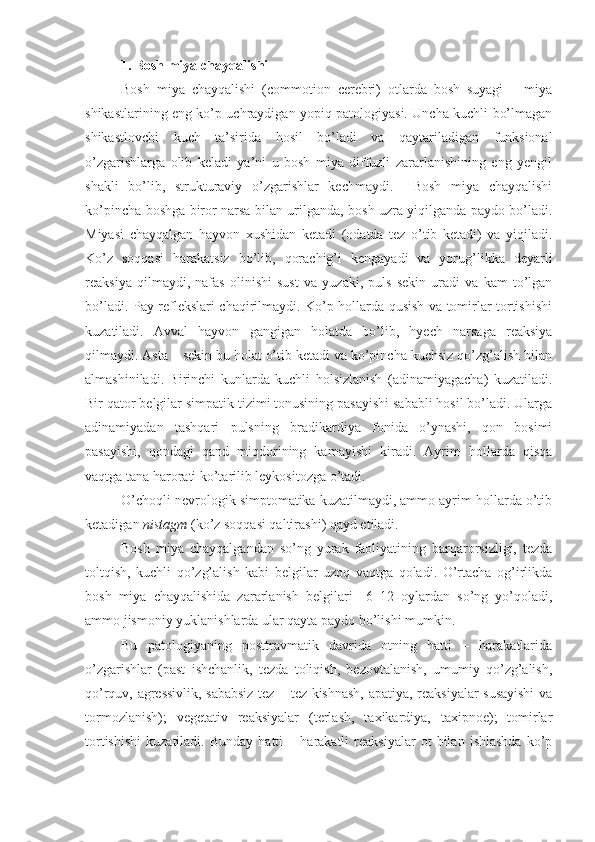 1.  Bosh miya chayqalishi
Bosh   miya   chayqalishi   (commotion   cerebri)   otlarda   bosh   suyagi   –   miya
shikastlarining eng ko’p uchraydigan yopiq patologiyasi. Uncha kuchli bo’lmagan
shikastlovchi   kuch   ta’sirida   hosil   bo’ladi   va   qaytariladigan   funksional
o’zgarishlarga   olib   keladi   ya’ni   u   bosh   miya   diffuzli   zararlanishining   eng   yengil
shakli   bo’lib,   strukturaviy   o’zgarishlar   kechmaydi.     Bosh   miya   chayqalishi
ko’pincha boshga biror narsa bilan urilganda, bosh uzra yiqilganda paydo bo’ladi.
Miyasi   chayqalgan   hayvon   xushidan   ketadi   (odatda   tez   o’tib   ketadi)   va   yiqiladi.
Ko’z   soqqasi   harakatsiz   bo’lib,   qorachig’i   kengayadi   va   yorug’likka   deyarli
reaksiya   qilmaydi,   nafas   olinishi   sust   va   yuzaki,   puls   sekin   uradi   va   kam   to’lgan
bo’ladi. Pay reflekslari chaqirilmaydi. Ko’p hollarda qusish va tomirlar tortishishi
kuzatiladi.   Avval   hayvon   gangigan   holatda   bo’lib,   hyech   narsaga   reaksiya
qilmaydi. Asta – sekin bu holat o’tib ketadi va ko’pincha kuchsiz qo’zg’alish bilan
almashiniladi.   Birinchi   kunlarda   kuchli   holsizlanish   (adinamiyagacha)   kuzatiladi.
Bir qator belgilar simpatik tizimi tonusining pasayishi sababli hosil bo’ladi. Ularga
adinamiyadan   tashqari   pulsning   bradikardiya   fonida   o’ynashi,   qon   bosimi
pasayishi,   qondagi   qand   miqdorining   kamayishi   kiradi.   Ayrim   hollarda   qisqa
vaqtga tana harorati ko’tarilib leykositozga o’tadi.
O’choqli nevrologik simptomatika kuzatilmaydi, ammo ayrim hollarda o’tib
ketadigan  nistagm  (ko’z soqqasi qaltirashi) qayd etiladi. 
Bosh   miya   chayqalgandan   so’ng   yurak   faoliyatining   barqarorsizligi,   tezda
toltqish,   kuchli   qo’zg’alish   kabi   belgilar   uzoq   vaqtga   qoladi.   O’rtacha   og’irlikda
bosh   miya   chayqalishida   zararlanish   belgilari     6–12   oylardan   so’ng   yo’qoladi,
ammo jismoniy yuklanishlarda ular qayta paydo bo’lishi mumkin.
Bu   patologiyaning   posttravmatik   davrida   otning   hatti   –   harakatlarida
o’zgarishlar   (past   ishchanlik,   tezda   toliqish,   bezovtalanish,   umumiy   qo’zg’alish,
qo’rquv, agressivlik, sababsiz tez – tez kishnash, apatiya, reaksiyalar susayishi  va
tormozlanish);   vegetativ   reaksiyalar   (terlash,   taxikardiya,   taxipnoe);   tomirlar
tortishishi   kuzatiladi.   Bunday   hatti   –  harakatli   reaksiyalar   ot   bilan   ishlashda   ko’p 