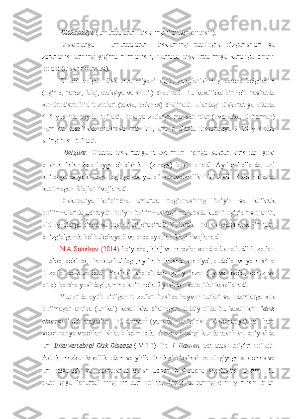 Diskopatiya  (umurtqalararo diskning o‘rnidan chiqishi).
Diskopatiya   –   umurtqalararo   disklarning   patologik   o‘zgarishlari   va
zararlanishlarining   yig‘ma   nomlanishi,   natijada   disk   orqa   miya   kanaliga   chiqib
qoladi (disk prolapsusi).  
Chiqib   qolgan   disk   orqa   miyani   siqib,   zararlanishning   barcha   belgilarini
(og‘riq, parez,  falaj, ataksiya  va sh.o‘.)  chaqiradi. Bu kasalikka  birinchi  navbatda
xondrodistrofoid   it   zotlari   (taksa,  pekines)   chalinadi .   Ulardagi   diskopatiya  odatda
4–6   yoshida   paydo   bo‘ladi.   Boshqa   zotlarga   mansub   itlar   (ovcharka,   doberman)
ham   bu   kasallikka   chalinishi   mumkin,   ammo   ularda   diskopatiya   9–10   yoshdan
so‘ng hosil bo‘ladi.
  Belgilar.   Odatda   diskopatiya   it   avtomobil   ichiga   sakrab   kirishdan   yoki
boshqa   balandroq   joyga   chiqishdan   (zinaga)   bosh   tortadi.   Ayrim   hollarda,   uni
ko‘targanda   yoki   unga   teginganda   yuqori   sezuvchanlikni   bildiradi.   Kam   hollarda
kutilmagan falajlar rivojlanadi.
Diskopatiya   ko‘pincha   umurtqa   pog‘onasining   bo‘yin   va   ko‘krak
bo‘linmalarida uchraydi. Bo‘yin bo‘linmasidagi prolapsda kuchli og‘riq rivojlanib,
old oyoqlarga o‘tadi va oqsoqlikni chaqiradi. Ko‘krak – bel sohadagi disk o‘rnidan
qo‘zg‘alganda bel bukchayadi va orqa oyoqlar falaji rivojlanadi. 
N.A.Sotnikov (2014)   bo‘yicha, falaj va parezlar xondrodistrofoidli it zotlari
– taksa, pekines,    fransuz buldogi; ayrim holatlarda spaniyel, pudellar va yana 84 ta
it   zotlarida   kuzatiladi.   Yashash   sharoitidan   qat’iy   nazar   (uy   va   ovchi,   semiz   va
oriq)  barcha yoshdagi, ammo ko‘pincha 2 yoshdan katta itlar kasallanadi.
Yuqorida   aytib   o‘tilgan   it   zotlari   boshqa   hayvon   turlari   va   odamlarga   xos
bo‘lmagan   antiqa   (unikal)   kasallikka   chalingan.   Oddiy   tilda   bu   kasallikni   “disk
churras i”  deb   ataydilar.    Bu   atamani   (yanada   noto‘g‘risi   –  diskopatiya)   hali   ham
veterinariya vrachlari ishlatib kelmoqda. Ammo hozirgi kunda tashhisni qo‘yishda
uni   Intervertebral   Disk   Disease   (IVDD)   Tip   1   Hansen   deb   atash   to‘g‘ri   bo‘ladi.
Aslida mazkur kasallik odam va yirik itlardagi o‘xshash patologiyaga xos emas va
uni   davolash   va   diagnostika   qilish   uchun   boshqacha   yondashish   lozim.   Bu
patologiya   “churra”   ning   bir   turi   bo‘lib,   fibroz   halqaning   chin   yorilishi   bilan 