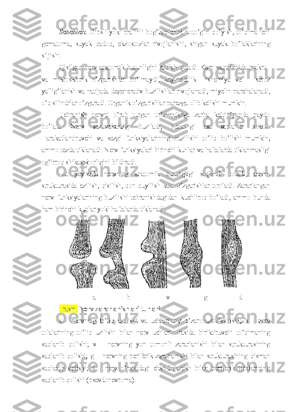 Sabablari.   Gipsli yoki prafinli bog’lamlarini noto’g’ri qo’yish, to’qima ichi
gematoma,   suyak   qadoq,   ekzostozlar   rivojlanishi,   singan   suyak   bo’laklarining
siljishi. 
Qisilgan nerv anatomik butunligini saqlab qoladi. Kam  vaqt ichida makro–
va   mikroskopi k   o’zgarishlar   bo’lmaydi,   keyinchalik     ishemiya   va       seroz
yallig’lanish va natijada degenera tiv buzilishlar rivojlanadi, miyelin parchalanadi,
o’q silindrlar o’zgaradi. Organik o’zgarishlar parezga olib kelishi mumkin. 
Tebranish   nervni   o’rab   turgan   to’qimalarga   zarba   keltirilganda   paydo
bo’ladi.   Nerv   sezuvchanligi   buziladi,   butunligi   esa   saqlanib   qoladi.
Harakatlantiruvchi   va   sezgi   funksiyalarining   buzilishi   to’liq   bo’lishi   mumkin,
ammo tezda tiklanadi. Nerv funksiyalari birinchi kunlar va haftalarda tiklanmasligi
og’irroq shikast borligini bildiradi.
Lat   yeyishda   nervning   anatomik   butungligi   saqlanib   qoladi,   ammo
strukturasida   ezilish,   qisilish,   qon  quyilish   kabi   o’zgarishlar   topiladi.   Zararlangan
nerv   funksiyalarining   buzilishi   tebranishdagidan   kuchliroq   bo’ladi,   ammo   bunda
ham birinchi kunlar yoki haftalarda tiklanadi.
                                a                  b             v                      g                 d
–rasm .   Nerv zararlanishlari turlari
a   –   nervning   to’liq   uzilishi   va   uchlarining   o’zaro   uzoqlashishi;   b   –   nerv
tolalarining   to’liq   uzilishi   bilan   nerv   uchlari   orasida   biriktiruvchi   to’qimaning
saqlanib   qolishi;   v   –   nervning   yon   tomonli   zararlanishi   bilan   strukturasining
saqlanib   qolishi;   g   –   nervning   periferik   zararlanishi   bilan   strukturasining   qisman
saqlanib   qolishi;   d   –   nerv   o’rtasidagi   chandiqlanish   bilan   periferik   tolalarining
saqlanib qolishi (psevdonevroma). 