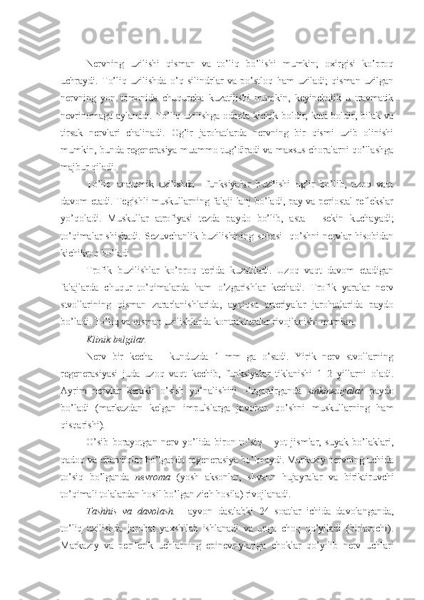 Nervning   uzilishi   qisman   va   to’liq   bo’lishi   mumkin;   oxirgisi   ko’proq
uchraydi.   To’liq   uzilishda   o’q   silindrlar   va   po’stloq   ham   uziladi;   qisman   uzilgan
nervning   yon   tomonida   chuqurcha   kuzatilishi   mumkin,   keyinchalik   u   travmatik
nevrinomaga aylanadi. To’liq uzilishga odatda kichik boldir, kata boldir, bilak va
tirsak   nervlari   chalinadi.   Og’ir   jarohatlarda   nervning   bir   qismi   uzib   olinishi
mumkin, bunda regenerasiya muammo tug’diradi va maxsus choralarni qo’llashga
majbur qiladi.
To’liq   anatomik   uzilishda     funksiyalar   buzilishi   og’ir   bo’lib,   uzoq   vaqt
davom etadi. Tegishli muskullarning falaji lanj bo’ladi, pay va periostal reflekslar
yo’qoladi.   Muskullar   atrofiyasi   tezda   paydo   bo’lib,   asta   –   sekin   kuchayadi;
to’qimalar   shishadi.   Sezuvchanlik   buzilishining   sohasi     qo’shni   nervlar   hisobidan
kichikroq bo’ladi.
Trofik   buzilishlar   ko’proq   terida   kuzatiladi.   Uzoq   vaqt   davom   etadigan
falajlarda   chuqur   to’qimalarda   ham   o’zgarishlar   kechadi.   Trofik   yaralar   nerv
stvollarining   qisman   zararlanishlarida,   ayniqsa   arteriyalar   jarohatlarida   paydo
bo’ladi. To’liq va qisman uzilishlarda kontrakturalar rivojlanishi mumkin.
Klinik belgilar. 
Nerv   bir   kecha   –   kunduzda   1   mm   ga   o’sadi.   Yirik   nerv   stvollarning
regenerasiyasi   juda   uzoq   vaqt   kechib,   funksiyalar   tiklanishi   1–2   yillarni   oladi.
Ayrim   nervlar   kerakli   o’sish   yo’nalishini   o’zgartirganda   sinkineziyalar   paydo
bo’ladi   (markazdan   kelgan   impulslarga   javoban   qo’shni   muskullarning   ham
qisqarishi).
O’sib   borayotgan   nerv   yo’lida   biron   to’siq   –   yot   jismlar,   suyak   bo’laklari,
qadoq va chandiqlar bo’lganda regenerasiya bo’lmaydi. Markaziy nervning uchida
to’siq   bo’lganda   nevroma   (yosh   aksonlar,   shvann   hujayralar   va   biriktiruvchi
to’qimali tolalardan hosil bo’lgan zich hosila) rivojlanadi. 
Tashhis   va   davolash.   Hayvon   dastlabki   24   soatlar   ichida   davolanganda,
to’liq   uzilishda   jarohat   yaxshilab   ishlanadi   va   unga   choq   qo’yiladi   (birlamchi).
Markaziy   va   periferik   uchlarning   epinevriylariga   choklar   qo’yilib   nerv   uchlari 