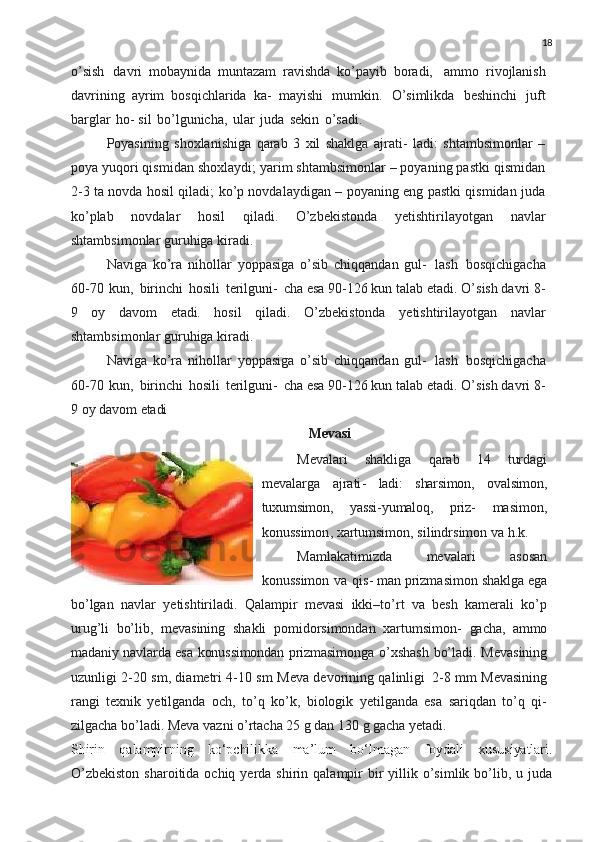 18
o’sish   davri   mobaynida   muntazam   ravishda   ko’payib   boradi,   ammo   rivojlanish
davrining   ayrim   bosqichlarida   ka-   mayishi   mumkin.   O’simlikda   beshinchi   juft
barglar   ho- sil   bo’lgunicha,   ular   juda   sekin   o’sadi.
Poyasining   shoxlanishiga   qarab   3   xil   shaklga   ajrati-   ladi:   shtambsimonlar   –
poya yuqori qismidan shoxlaydi; yarim shtambsimonlar – poyaning pastki qismidan
2-3 ta novda hosil qiladi; ko’p novdalaydigan – poyaning eng pastki qismidan juda
ko’plab   novdalar   hosil   qiladi.   O’zbekistonda   yetishtirilayotgan   navlar
shtambsimonlar guruhiga kiradi.
Naviga   ko’ra   nihollar   yoppasiga   o’sib   chiqqandan   gul-   lash   bosqichigacha
60-70   kun,   birinchi   hosili   terilguni-   cha esa 90-126 kun talab etadi. O’sish davri 8-
9   oy   davom   etadi.   hosil   qiladi.   O’zbekistonda   yetishtirilayotgan   navlar
shtambsimonlar guruhiga kiradi.
Naviga   ko’ra   nihollar   yoppasiga   o’sib   chiqqandan   gul-   lash   bosqichigacha
60-70   kun,   birinchi   hosili   terilguni-   cha esa 90-126 kun talab etadi. O’sish davri 8-
9 oy davom  etadi
Mevasi
Mevalari   shakliga   qarab   14   turdagi
mevalarga   ajrati -   ladi :   sharsimon ,   ovalsimon ,
tuxumsimon ,   yassi - yumaloq ,   priz -   masimon ,
konussimon ,  xartumsimon ,  silindrsimon   va   h . k .
Mamlakatimizda   mevalari   asosan
konussimon   va   qis- man   prizmasimon   shaklga   ega
bo’lgan   navlar   yetishtiriladi.   Qalampir   mevasi   ikki–to’rt   va   besh   kamerali   ko’p
urug’li   bo’lib,   mevasining   shakli   pomidorsimondan   xartumsimon-   gacha,   ammo
madaniy   navlarda   esa   konussimondan   prizmasi monga   o’xshash   bo’ladi.   Mevasining
uzunligi 2-20 sm, diametri 4-10 sm Meva devorining qalinligi   2-8 mm Mevasining
rangi   texnik   yetilganda   och,   to’q   ko’k,   biologik   yetilganda   esa   sariqdan   to’q   qi-
zilgacha bo’ladi.   Meva vazni o’rtacha 25 g dan 130 g gacha yetadi.
Shirin   qalampirning   ko‘pchilikka   ma’lum   bo‘lmagan   foydali   xususiyatlari.
O’zbekiston   sharoitida ochiq  yerda shirin  qalampir   bir   yillik o’simlik bo’lib, u  juda 