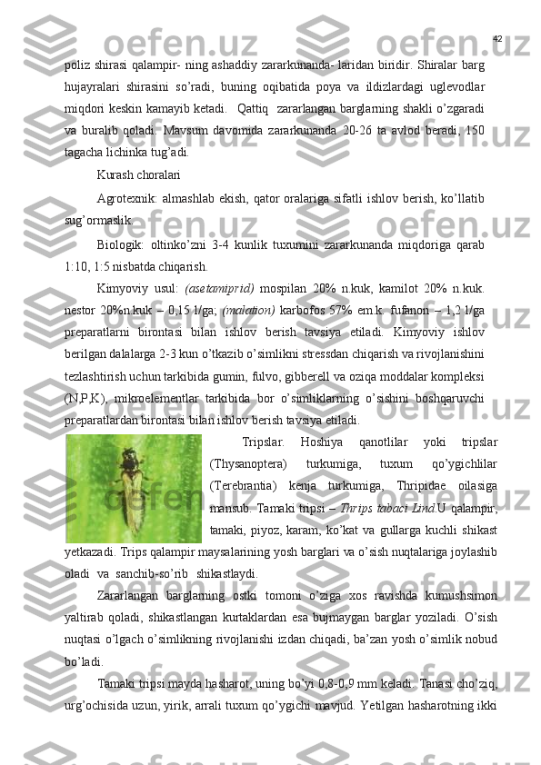 42
poliz shirasi qalampir- ning ashaddiy zararkunanda- laridan biridir. Shiralar barg
hujayralari   shirasini   so’radi,   buning   oqibatida   poya   va   ildizlardagi   uglevodlar
miqdori keskin kamayib ketadi.  Qattiq	  zararlangan   barglarning shakli o’zgaradi
va   buralib   qoladi.   Mavsum   davomida   zararkunanda   20-26   ta   avlod   beradi,   150
tagacha lichinka tug’adi.
Kurash  choralari
Agrotexnik:   almashlab  ekish,  qator  oralariga sifatli   ishlov  berish,  ko’llatib
sug’ormaslik. 
Biologik:   oltinko’zni   3-4   kunlik   tuxumini   zararkunanda   miqdoriga   qarab
1:10, 1:5 nisbatda chiqarish.
Kimyoviy   usul:   (asetamiprid)   mospilan   20%   n.kuk,   kamilot   20%   n.kuk.
nestor   20%n.kuk   –   0,15   l/ga;   (malation)   karbofos   57%   em.k.   fufanon   –  1,2   l/ga
preparatlarni   birontasi   bilan   ishlov   berish   tavsiya   etiladi.   Kimyoviy   ishlov
berilgan dalalarga 2-3 kun o’tkazib o’simlikni stressdan chiqarish va rivojlanishini
tezlashtirish uchun tarkibida gumin, fulvo, gibberell va oziqa moddalar kompleksi
(N,P,K),   mikroelementlar   tarkibida   bor   o’simliklarning   o’sishini   boshqaruvchi
preparatlardan birontasi bilan ishlov berish tavsiya etiladi.
Tripslar.   Hoshiya   qanotlilar   yoki   tripslar
(Thysanoptera)   turkumiga,   tuxum   qo’ygichlilar
(Terebrantia)   kenja   turkumiga,   Thripidae   oilasiga
mansub.   Tamaki tripsi –   Thrips   tabaci   Lind .U   qalampir,
tamaki,   piyoz,   karam,   ko’kat   va   gullarga  kuchli   shikast
yetkazadi.   Trips qalampir maysalarining yosh  barglari   va   o’sish   nuqtalariga  joylashib
oladi   va   sanchib-so’rib	
  shikastlaydi.
Zararlangan   barglarning   ostki   tomoni   o’ziga   xos   ravishda   kumushsimon
yaltirab   qoladi,   shikastlangan   kurtaklardan   esa   bujmaygan   barglar   yoziladi.   O’sish
nuqtasi o’lgach o’simlikning rivojlanishi izdan chiqadi, ba’zan yosh o’simlik nobud
bo’ladi.
Tamaki tripsi mayda hasharot, uning bo’yi 0,8-0,9 mm keladi.   Tanasi   cho’ziq,
urg’ochisida   uzun,   yirik,   arrali   tuxum qo’ygichi   mavjud.   Yetilgan   hasharotning   ikki 