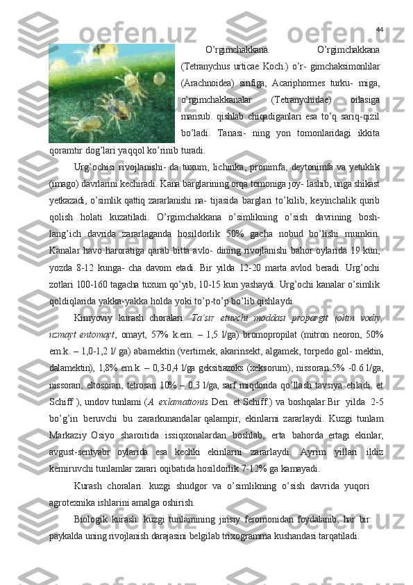 44
O’rgimchakkana.   O’rgimchakkana
(Tetranychus   urticae   Koch.)   o’r-   gimchaksimonlilar
(Arachnoidea)   sinfiga,   Acariphormes   turku-   miga,
o’rgimchakkanalar   (Tetranychidae)   oilasiga
mansub.   qishlab   chiqadiganlari   esa   to’q   sariq-qizil
bo’ladi.   Tanasi-   ning   yon   tomonlaridagi   ikkita
qoramtir dog’lari yaqqol ko’rinib   turadi.
Urg’ochisi  rivojlanishi- da   tuxum,   lichinka,   pronimfa,   deytonimfa   va   yetuklik
(imago)  davrlarini kechiradi. Kana barglarining orqa tomoniga joy-  lashib, unga shikast
yetkazadi, o’simlik qattiq zararlanishi na-   tijasida   barglari   to’kilib,   keyinchalik   qurib
qolish   holati   kuzatiladi.   O’rgimchakkana   o’simlikning   o’sish   davrining   bosh-
lang’ich   davrida   zararlaganda   hosildorlik   50%   gacha   nobud   bo’lishi   mumkin.
Kanalar   havo   haroratiga   qarab   bitta   avlo-   dining   rivojlanishi   bahor   oylarida   19   kun,
yozda   8-12   kunga-   cha   davom   etadi.   Bir   yilda   12-20   marta   avlod   beradi.   Urg’ochi
zotlari   100-160   tagacha   tuxum   qo’yib,   10-15   kun   yashaydi.   Urg’ochi  kanalar o’simlik
qoldiqlarida yakka-yakka holda yoki to’p-to’p bo’lib qishlaydi.
Kimyoviy   kurash   choralari:   Ta’sir   etuvchi   moddasi   propargit   (oltin   vodiy,
uzmayt   entomayt ,   omayt,   57%   k.em.   –   1,5   l/ga)   bromopropilat   (mitron   neoron,   50%
em.k.   –   1,0-1,2   l/  ga) abamektin (vertimek, akarinsekt, algamek, torpedo gol-   mektin,
dalamektin),   1,8%   em.k.   –   0,3-0,4   l/ga   geksitiazoks   (xek sorum),   nissoran   5%   -0.6   l/ga,
nissoran,   eltosoran,   tetrosan   10% –   0.3   l/ga, sarf   miqdorida   qo’llash   tavsiya   etiladi.   et
Schiff   ), undov tunlami ( A. exlamationis   Den. et Schiff.) va   boshqalar. Bir   yilda   2-5
bo’g’in   beruvchi   bu   zararkunandalar qalampir,   ekinlarni   zararlaydi.   Kuzgi   tunlam
Markaziy   Osiyo   sharoitida   issiqxonalardan   boshlab,   erta   bahorda   ertagi   ekinlar,
avgust-sentyabr   oylarida   esa   kechki   ekinlarni   zararlaydi.   Ayrim   yillari   ildiz
kemiruvchi  tunlamlar   zarari   oqibatida   hosildorlik   7-12%   ga   kamayadi.
Kurash   choralari.   kuzgi   shudgor   va   o’simlikning   o’sish   davrida   yuqori
agrotexnika ishlarini amalga oshirish.
Biologik   kurash:   kuzgi   tunlamining   jinsiy   feromonidan   foydalanib,   har   bir
paykalda   uning   rivojlanish   darajasini  belgilab trixogramma kushandasi tarqatiladi. 