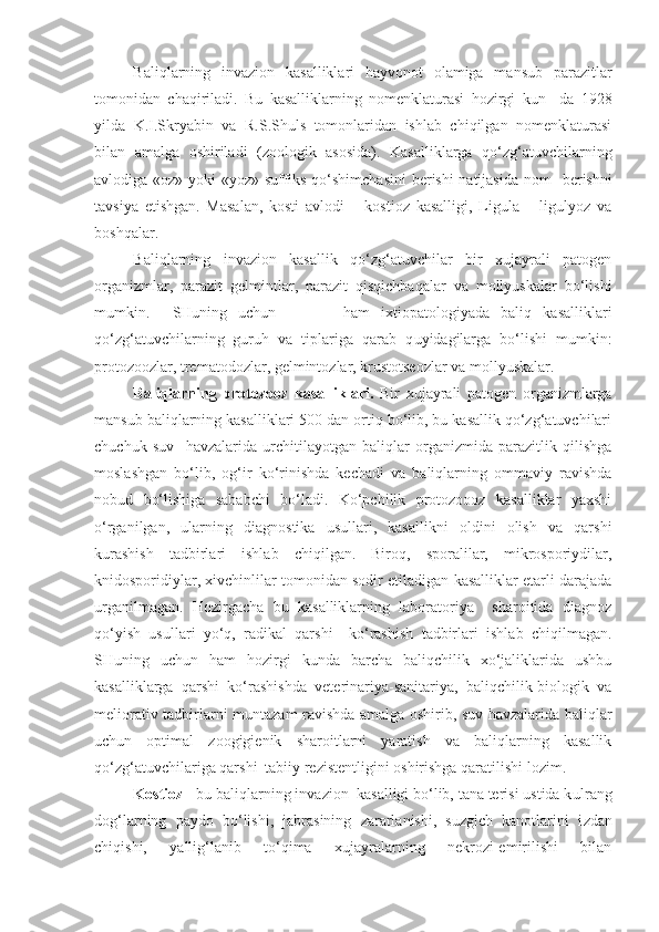 Baliqlarning   invazion   kasalliklari   hayvonot   olamiga   mansub   parazitlar
tomonidan   chaqiri ladi.   Bu   kasalliklarning   nomenklaturasi   hozirgi   kun     da   1928
yilda   K.I.Skryabin   va   R.S.Shuls   tomonlaridan   ishlab   chiqilgan   nomenklaturasi
bilan   amalga   oshiriladi   (zoologik   asosida).   Kasalliklarga   qo‘zg‘atuvchilarning
avlodiga «oz» yoki «yoz» suffiks qo‘shimchasini  berishi natijasida n om    berishni
tavsiya   etishgan.   Masalan,   kosti   avlodi   –   kostioz   kasalligi,   Ligula   –   ligulyoz   va
boshqalar. 
Baliqlarning   invazion   kasallik   qo‘zg‘atuvchilar   bir   xujayrali   patogen
organizmlar,   parazit   gelmintlar,   parazit   qisqichbaqalar   va   mollyuskalar   bo‘lishi
mumkin.     SHuning   uchun             ham   ixtiopatologiyada   baliq   kasalliklari
qo‘zg‘atuvchilarning   guruh   va   tiplariga   qarab   q u yidagilarga   bo‘lishi   mumkin:
protozoozlar, trematodozlar, gelmintozlar, krustotseozlar va mollyuskalar.
Baliqlarning   protozooz   kasalliklari.   Bir   xujayrali   patogen   organizmlarga
mansub baliqlarning kasalliklari 500 dan ortiq bo‘lib, bu kasallik qo‘zg‘atuvchilari
chuchuk   suv     havzalarida   urchitilayotgan   baliqlar   organizmida   parazitlik   qilishga
moslashgan   bo‘lib,   og‘ir   ko‘rinishda   kechadi   va   baliqlarning   ommaviy   ravishda
nobud   bo‘lishiga   sababchi   bo‘ladi.   Ko‘pchilik   protozoooz   kasalliklar   yaxshi
o‘rganilgan,   ularning   diagnostika   usullari,   kasallikni   oldini   olish   va   qarshi
k u rashish   tadbirlari   ishlab   chiqilgan.   Biroq,   sporalilar,   mikrosporiydilar,
knidosporidiylar, xivchinlilar tomonidan sodir etiladigan kasalliklar etarli darajada
urganilmagan.   Hozirgacha   bu   kasalliklarning   laboratoriya     sharoitida   diagnoz
qo‘yish   usullari   yo‘q,   radikal   qarshi     ko‘rashish   tadbirlari   ishlab   chiqilmagan.
SHuning   uchun   ham   hozirgi   kunda   barcha   baliqchilik   xo‘jaliklarida   ushbu
kasalliklarga   qarshi   ko‘rashishda   veterinariya-sanitariya,   baliqchilik-biologik   va
meliorativ tadbirlarni m u ntazam ravishda amalga oshirib, suv havzalarida baliqlar
uchun   optimal   zoogigienik   sharoitlarni   yaratish   va   baliqlarning   kasallik
qo‘zg‘atuvchilariga qarshi  tabiiy rezistentligini oshirishga qaratilishi lozim.
Kostioz  - bu baliqlarning invazion  kasalligi bo‘lib, tana terisi ustida k u lrang
dog‘larning   paydo   bo‘lishi,   jabrasining   zararlanishi,   suzgich   kanotlarini   i z dan
chiqishi,   yallig‘lanib   to‘qima   xujayralarning   nekrozi-emirilishi   bilan 